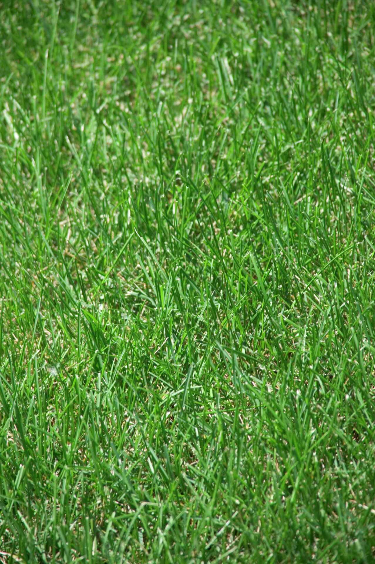 How to Program a Toro Greenkeeper Control Box for a Sprinkler System