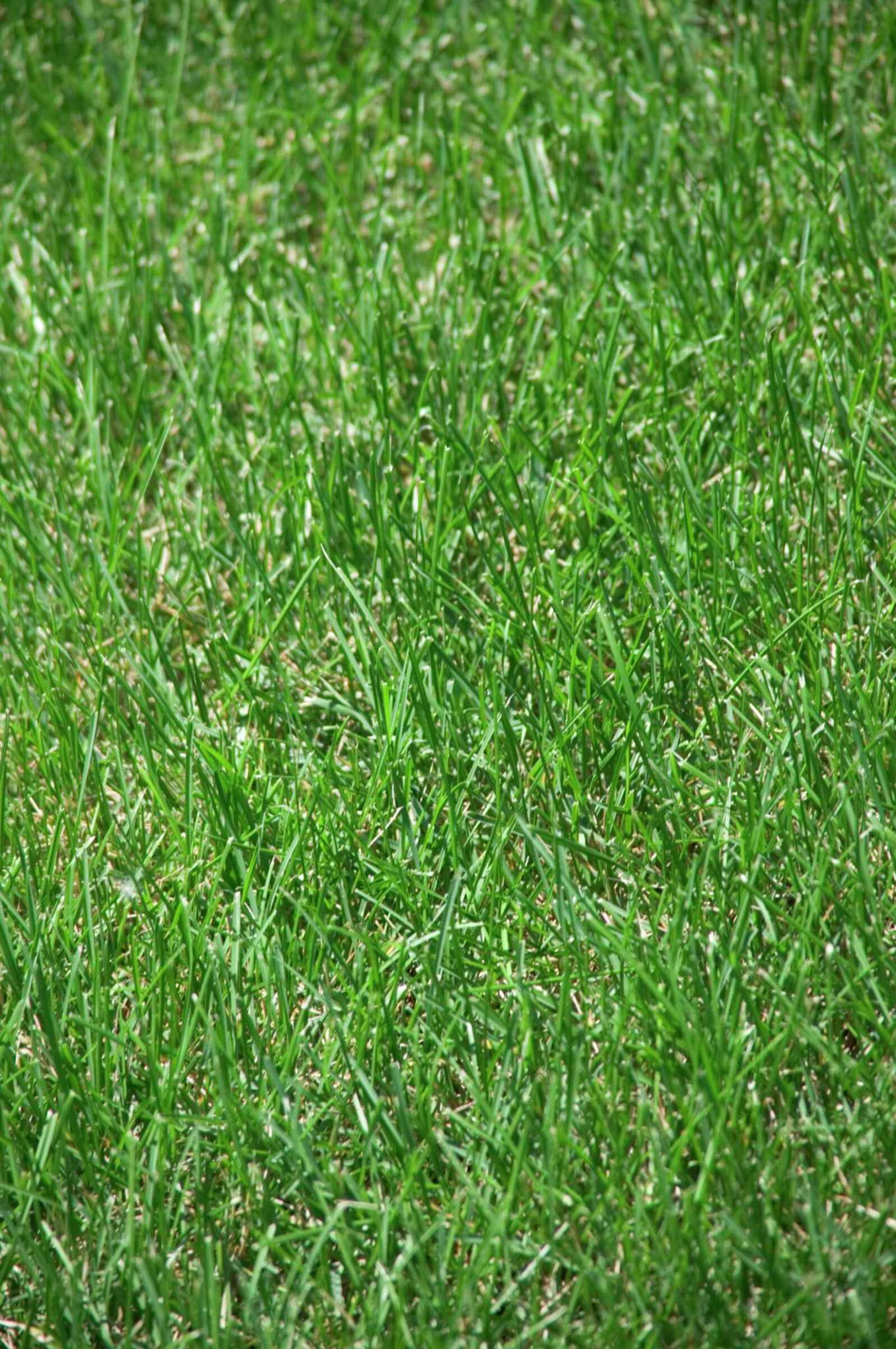 Toro GreenKeeper 212 Manuals | ManualsLib