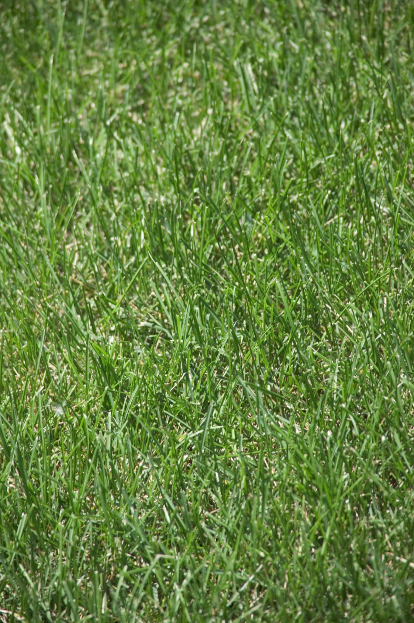 How to Hook Up the Choke on a Craftsman Mower