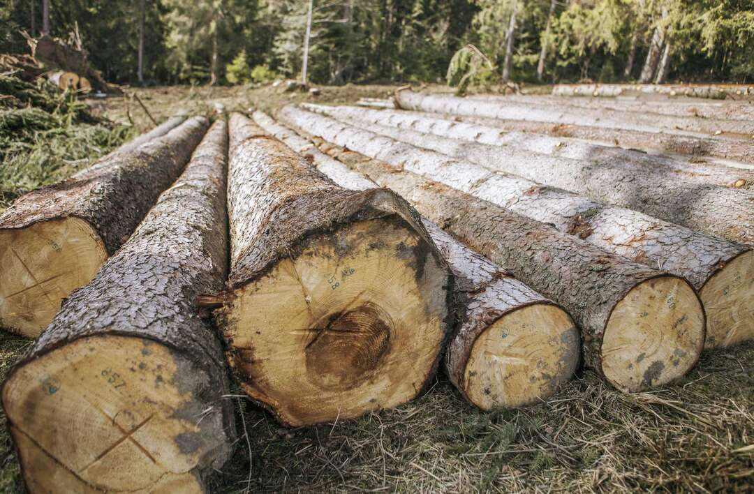 How Does Wood Expand and Contract?