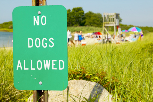 How to Clear Beach Weeds