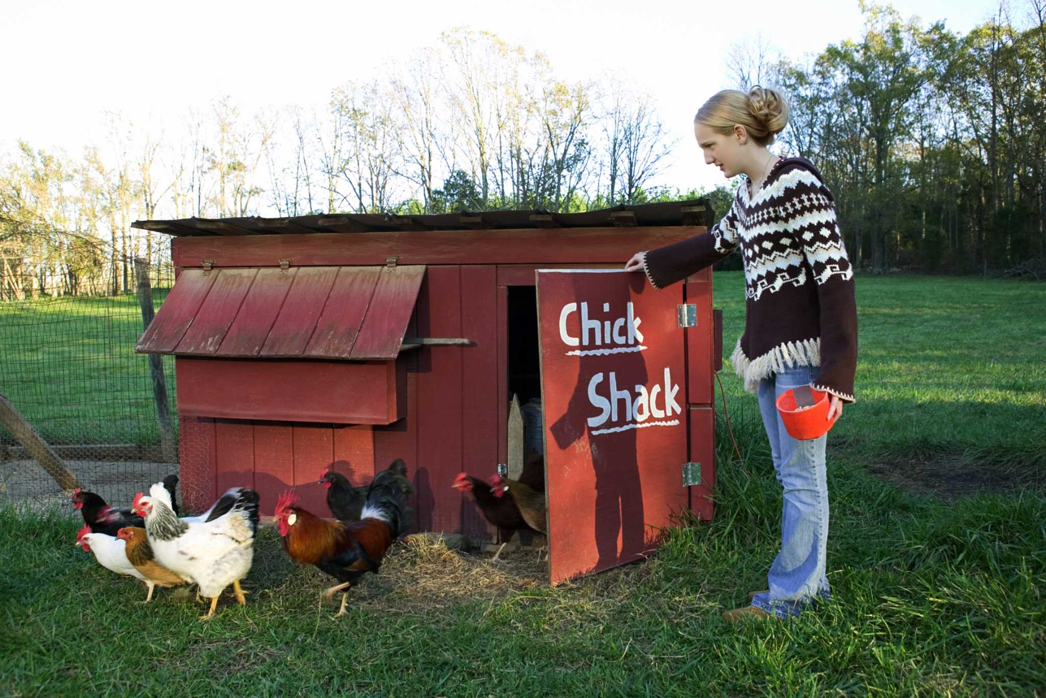 How to Cover Up a Chicken Coop Smell