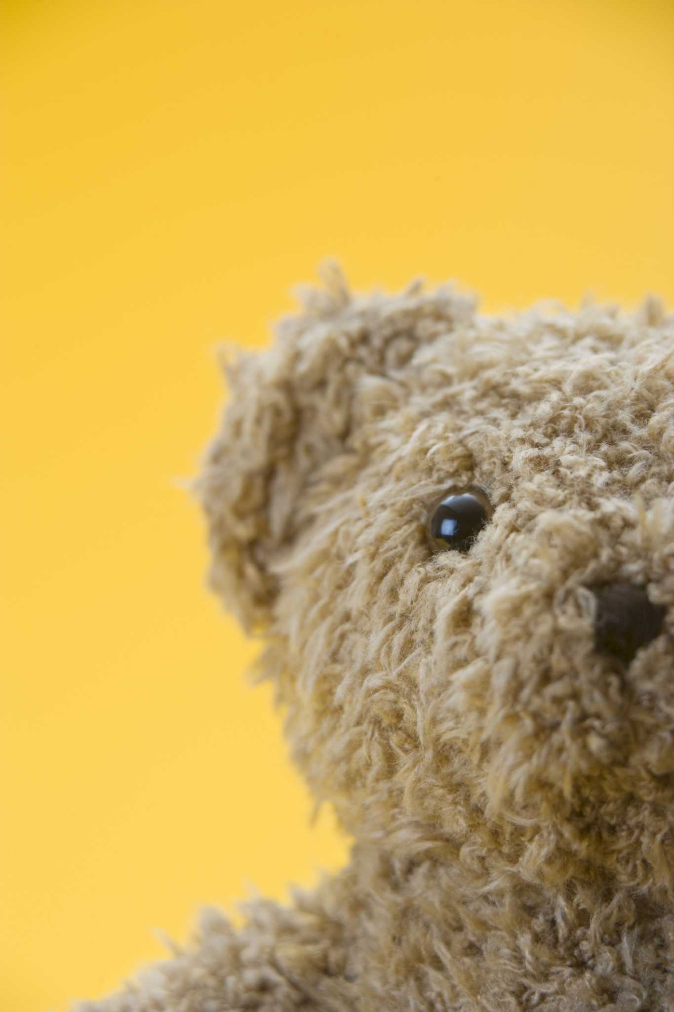 How to Get Musty Smells Out of Stuffed Animals, Hunker