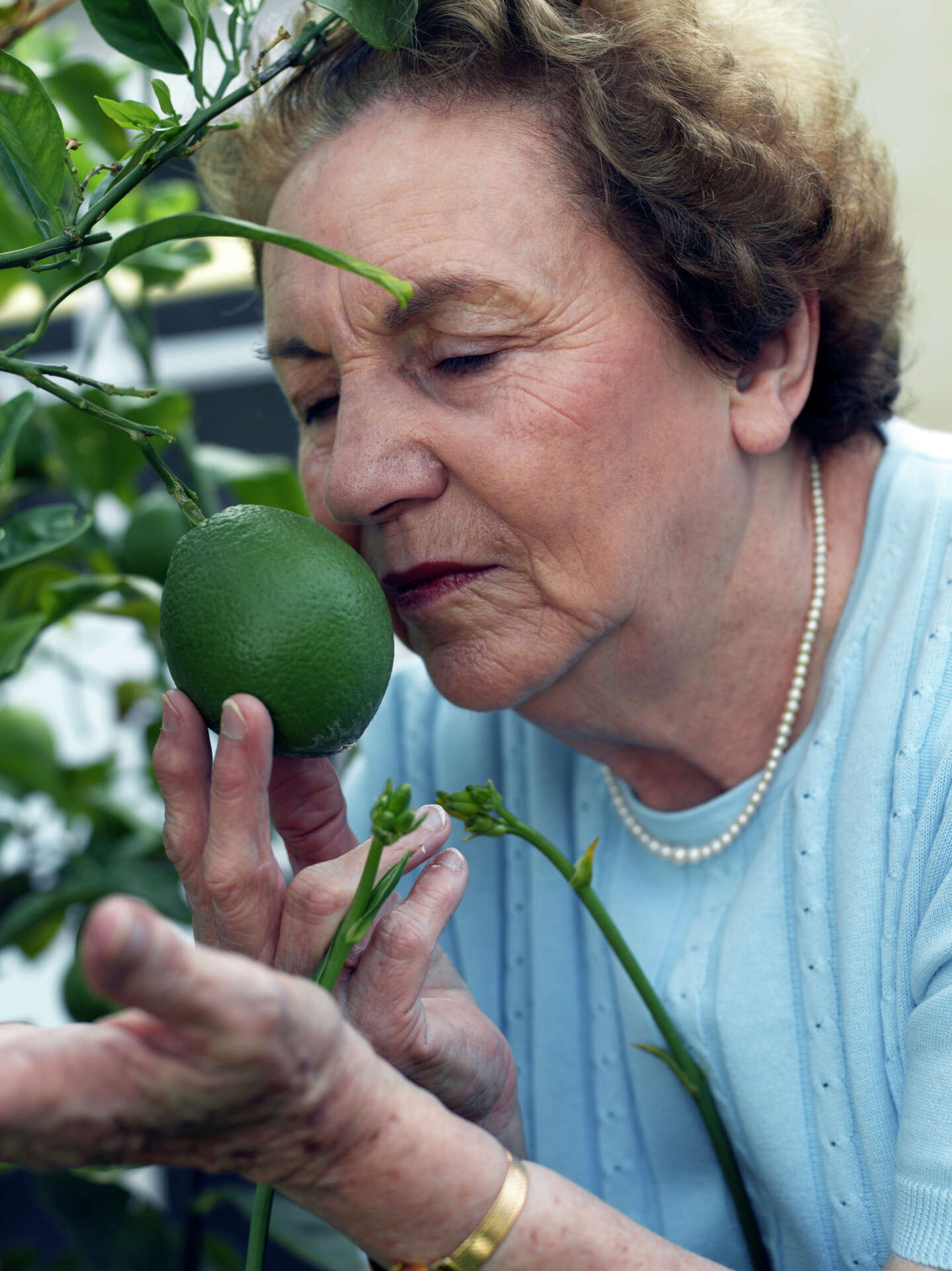 How to Keep Flowers Fresh in a Vase