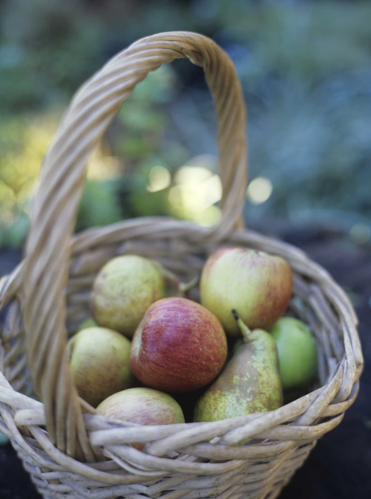 Are Pears Good for a LowPurine Diet?