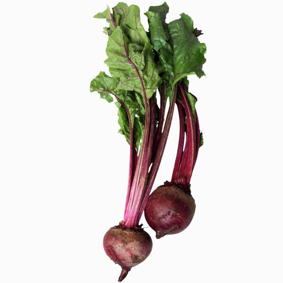 How Do Red Beets Affect Your Digestive System?