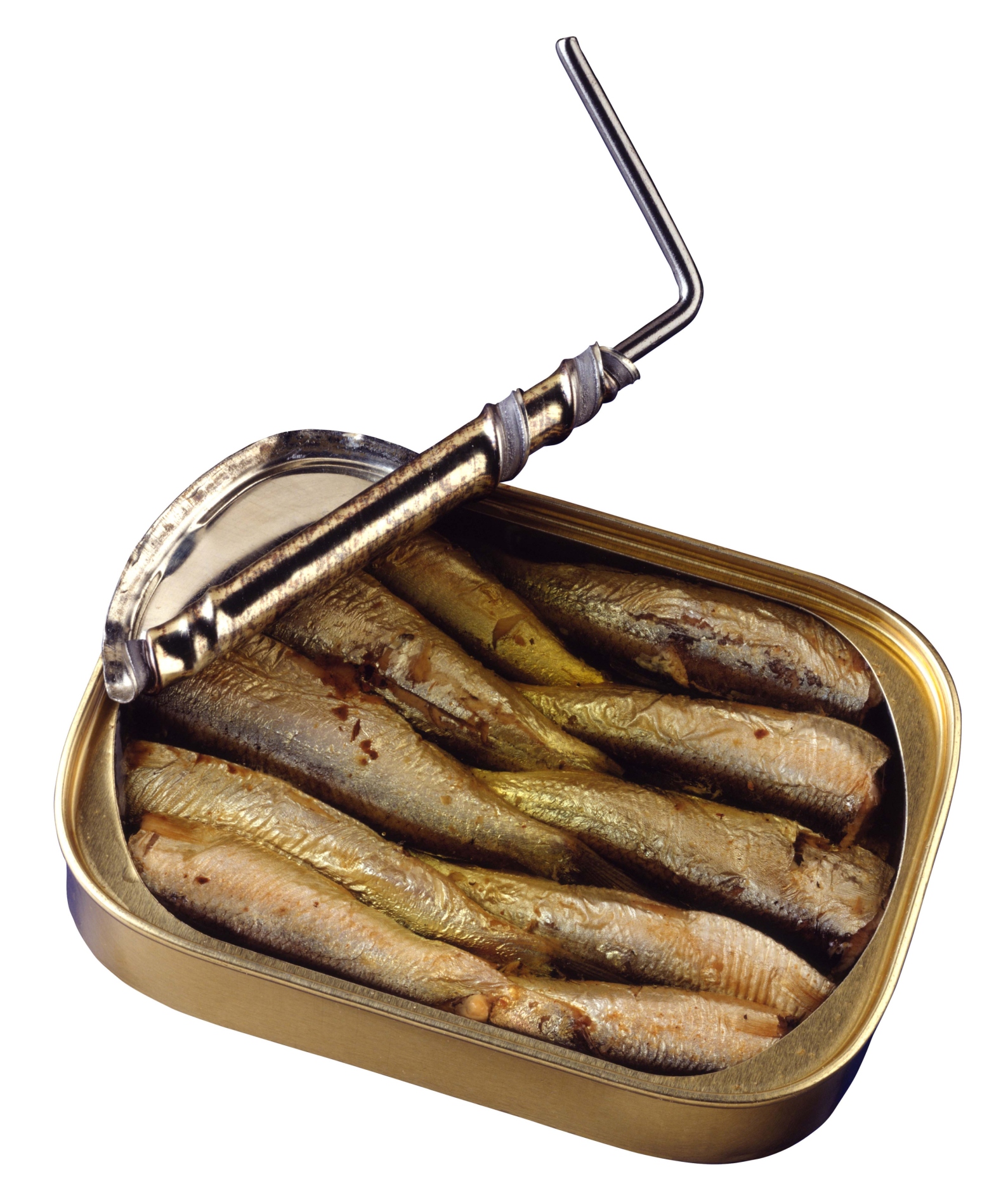 Sardines & LowCarb Diet