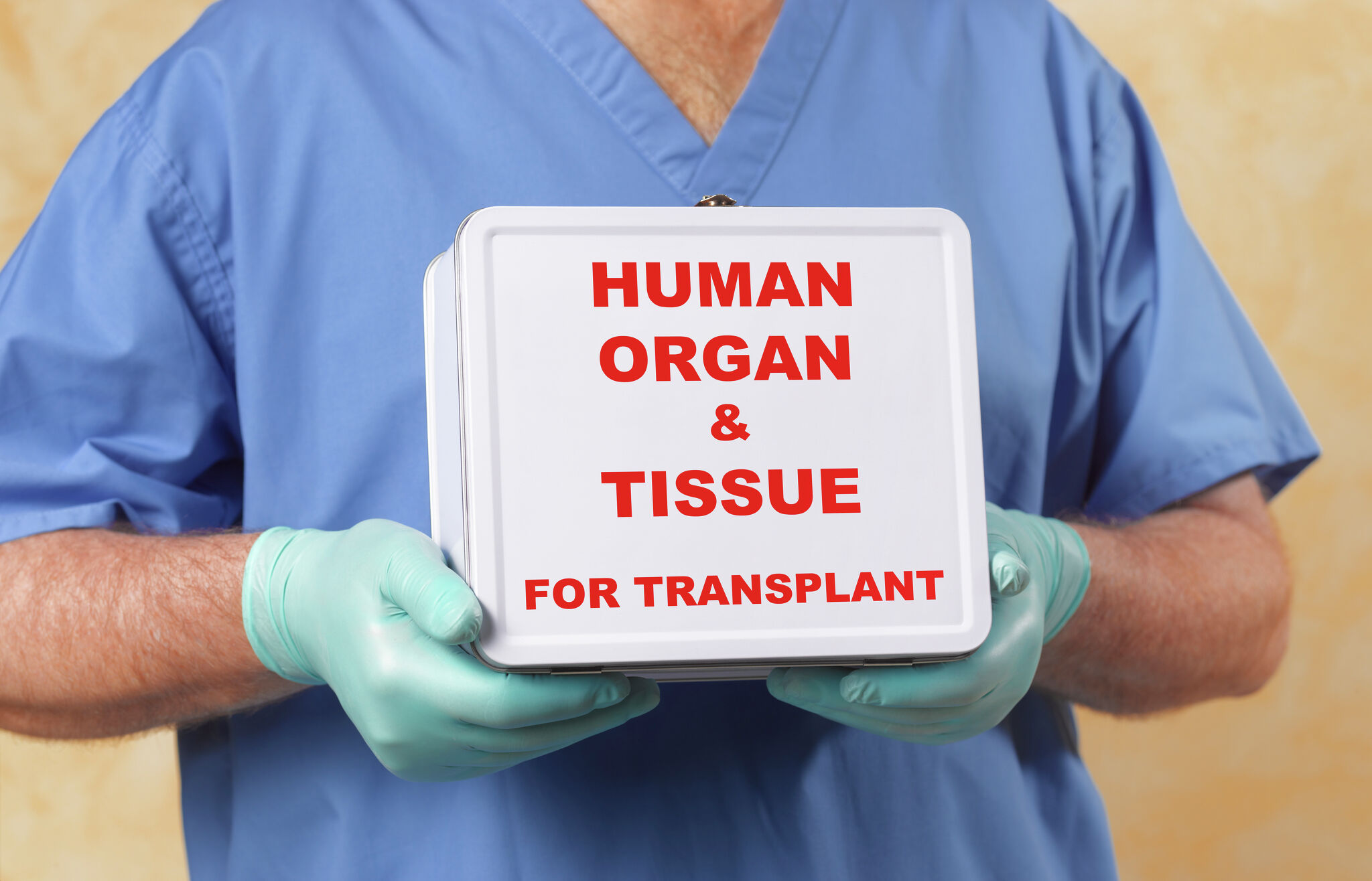 Michigan legislation could put organ donation on tax forms - Vimarsana News