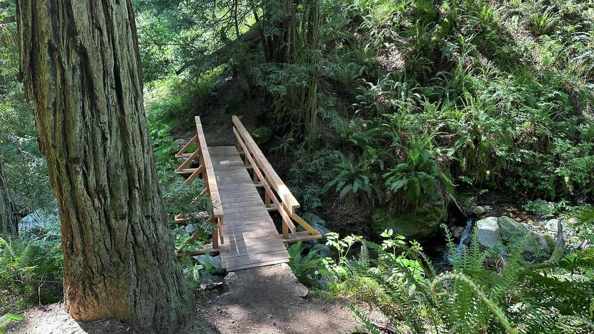 在Tamalpais山陡峭峡谷小径上的几座木制人行桥必须在这条受欢迎的小径重新开放之前进行修复。