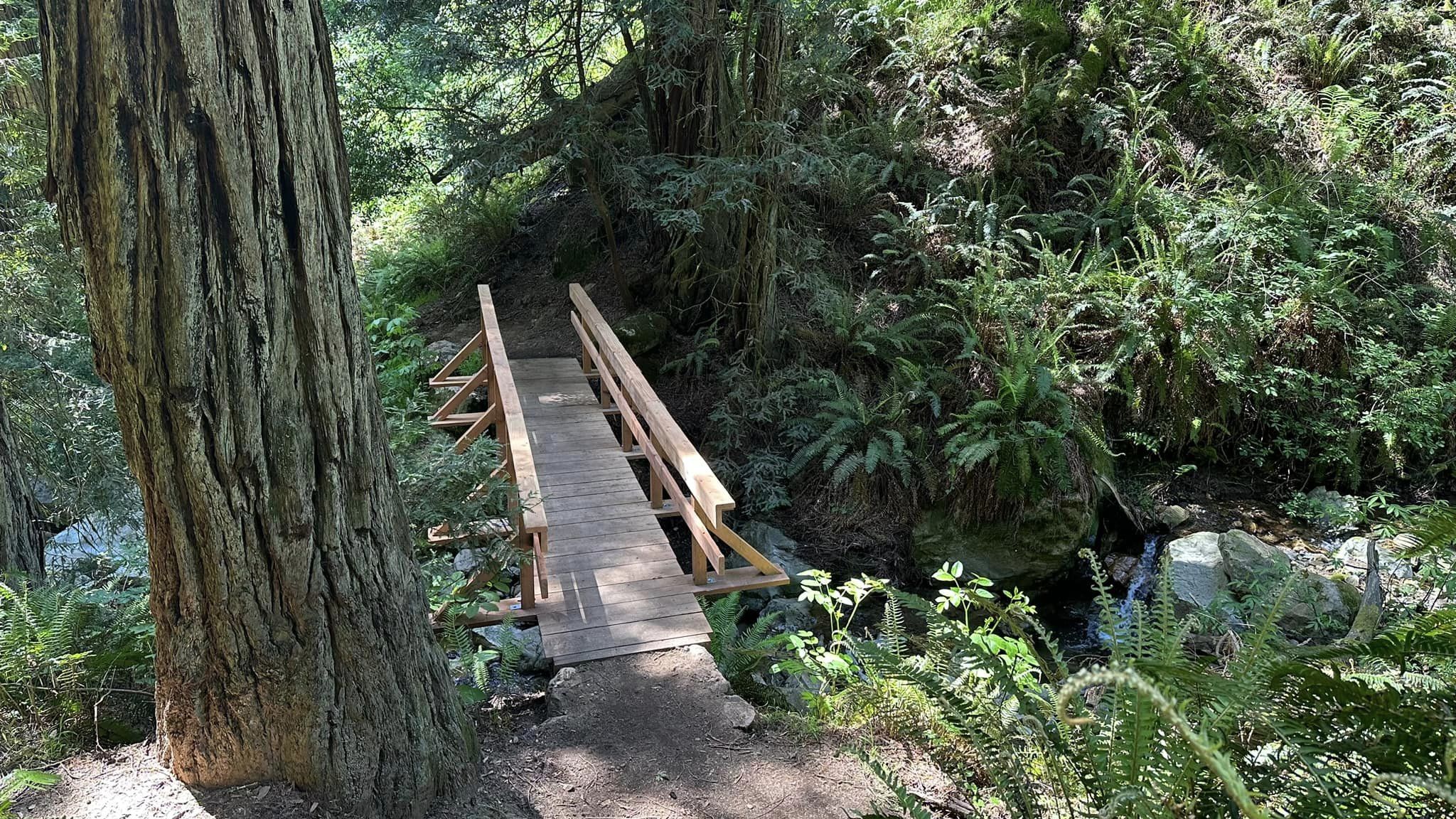 One of Bay Area's favorite trails finally reopens after storms - Vimarsana News