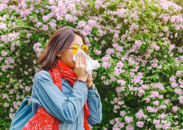 Story photo for How to relieve seasonal allergy symptoms, according to a doctor