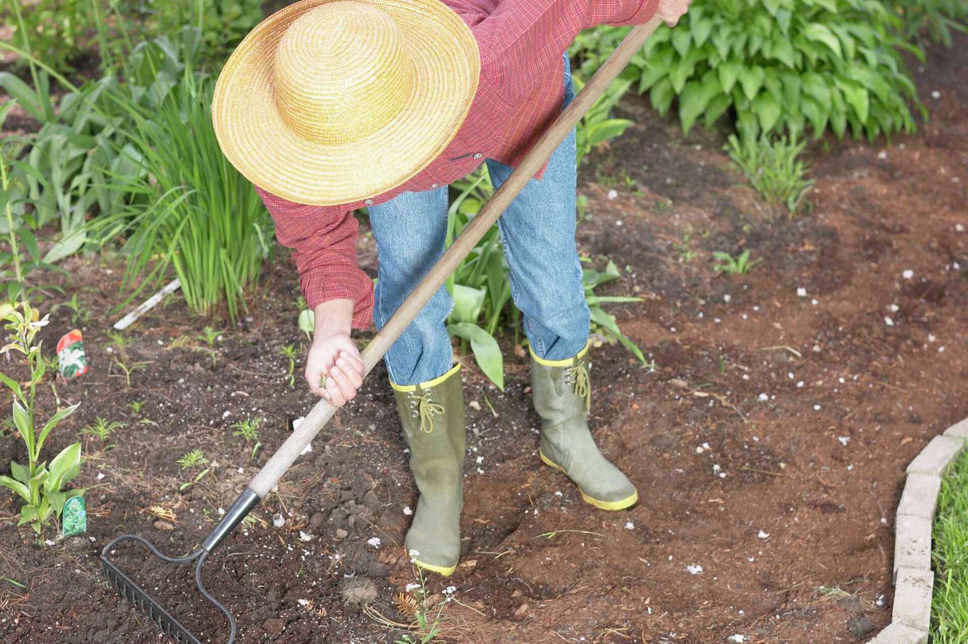 How to Rake in the Soil