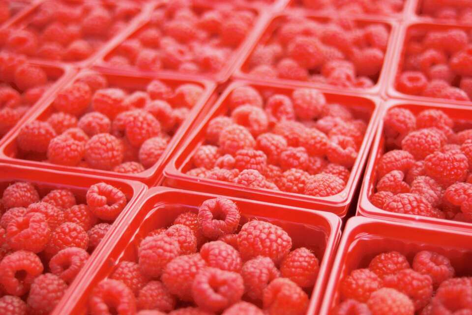 Do Raspberries Grow on New Growth or Old?