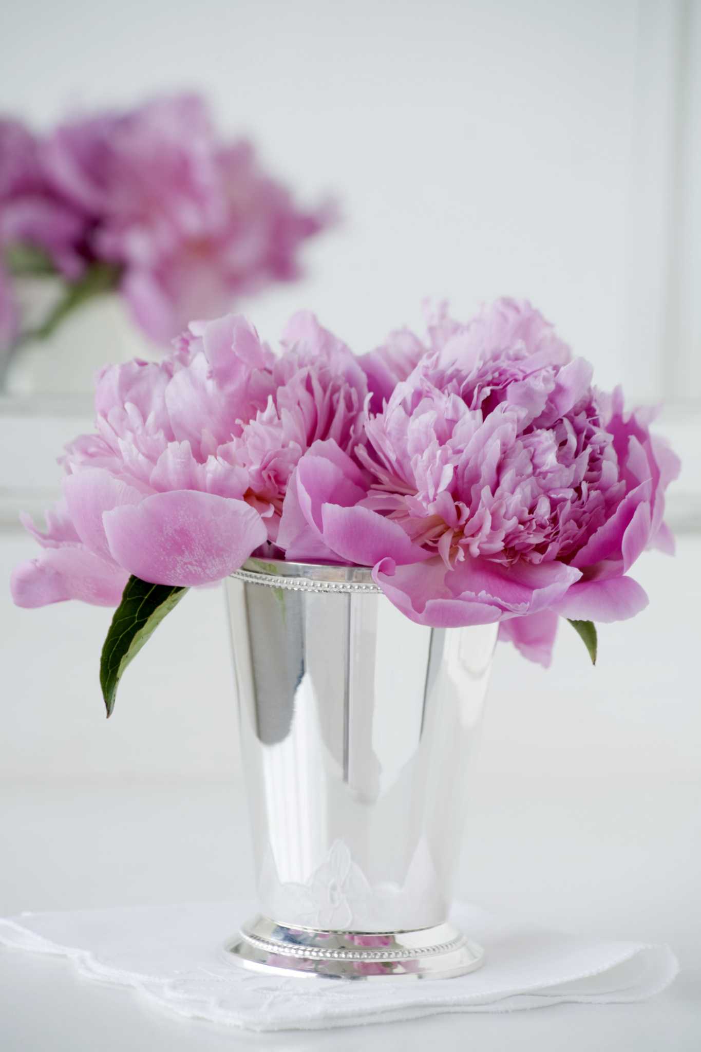 Will It Hurt to Cut My Peonies?