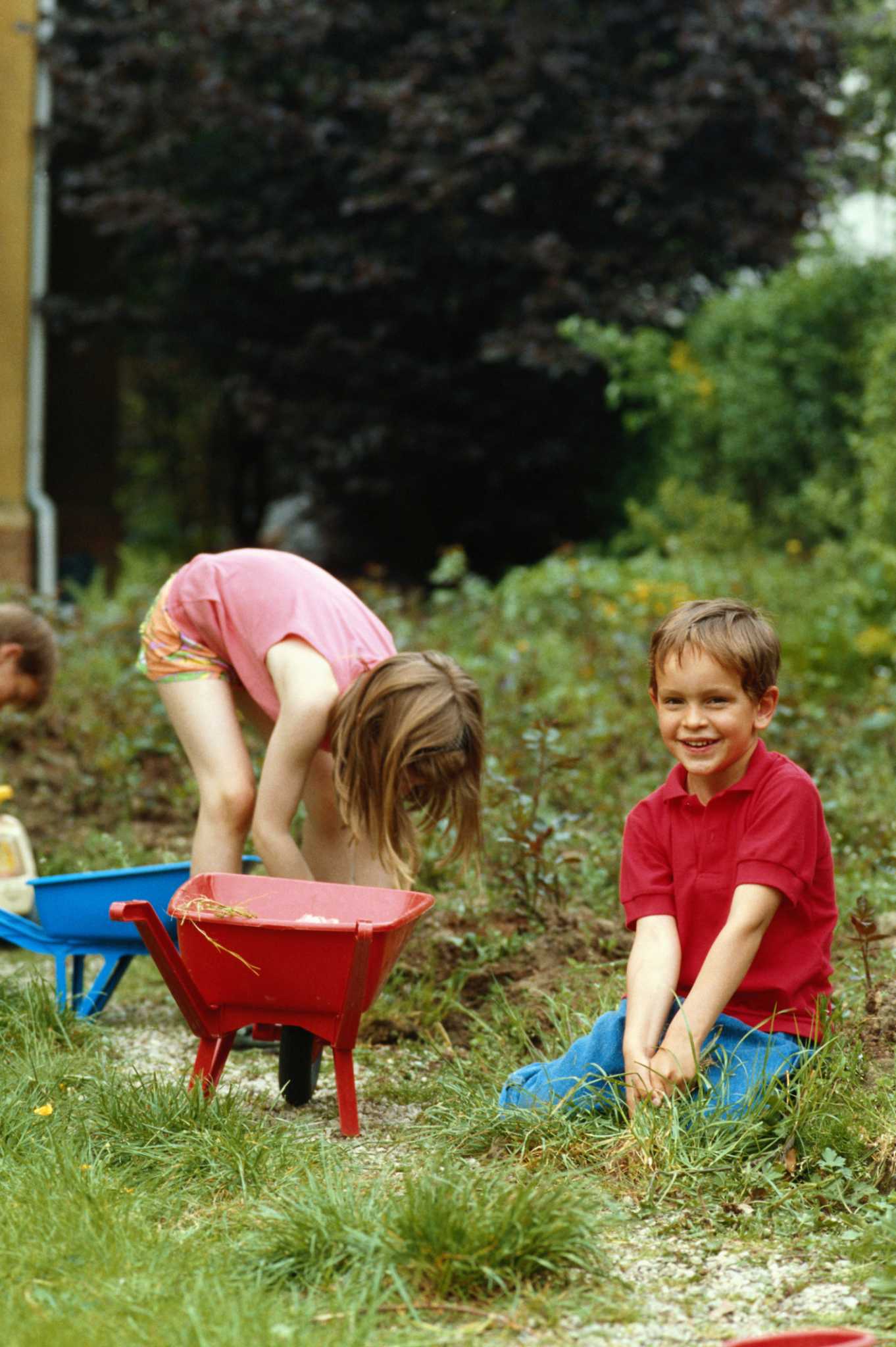 Should I Kill the Weeds Before I Put Down Topsoil?