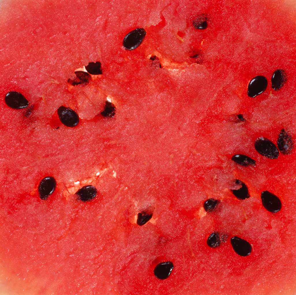 How to Save Watermelon Seeds for Planting