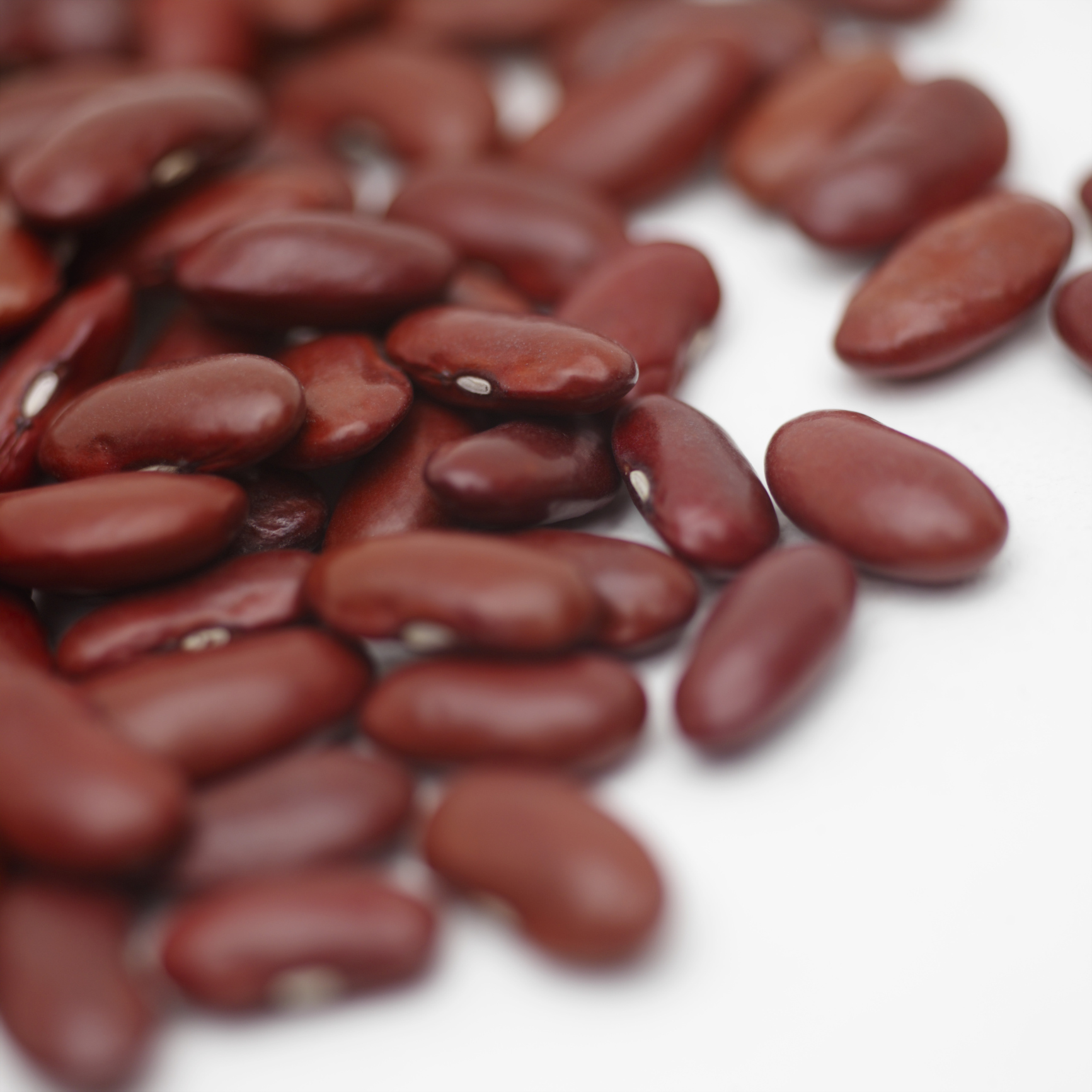 Do Red Kidney Bean Seeds Need Wet Soil to Germinate?