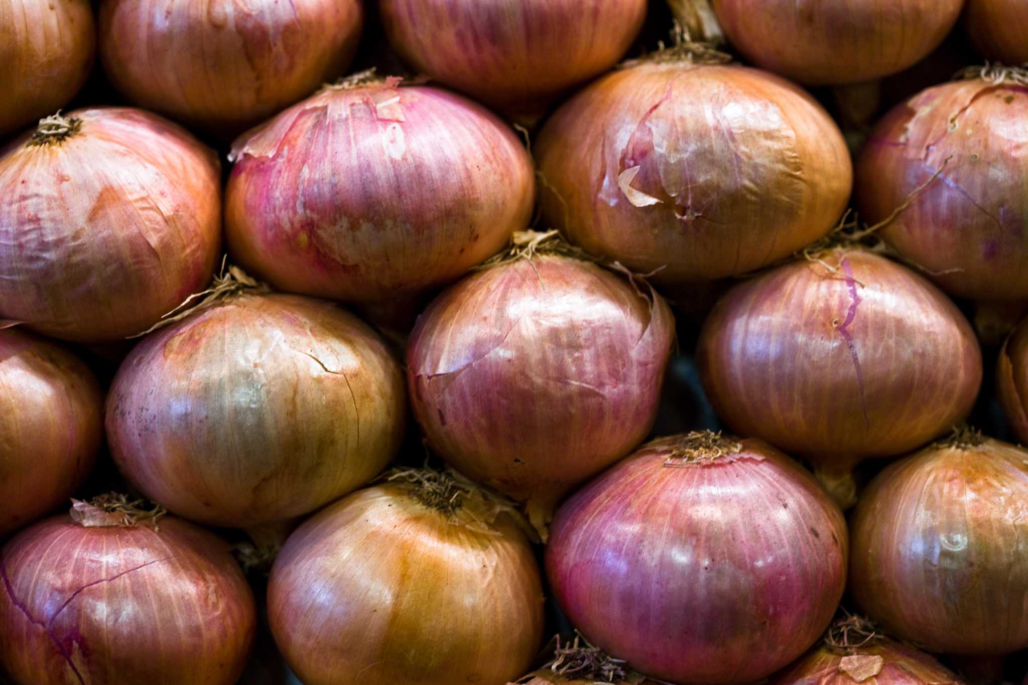 How Do Red Onions Propagate?