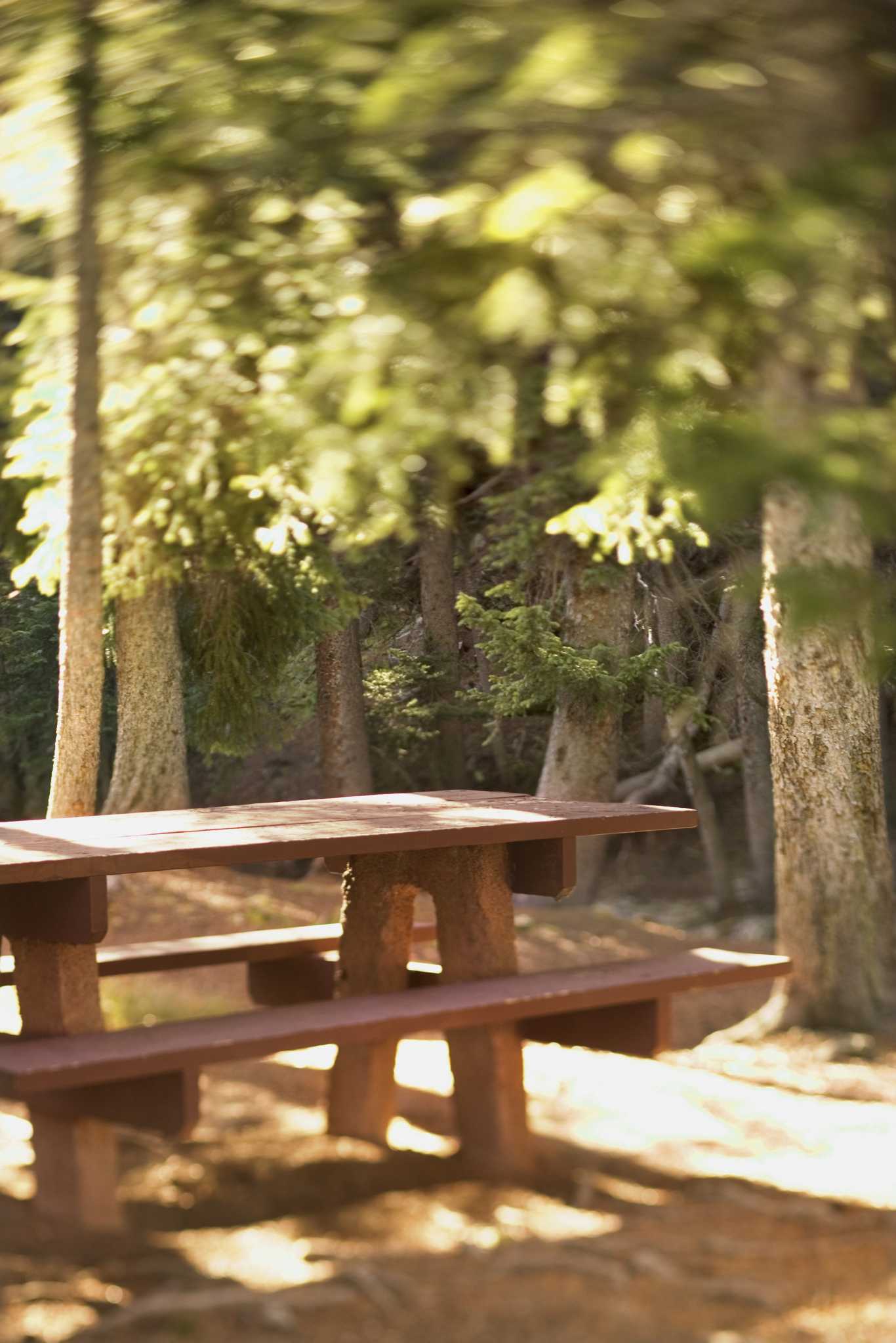 How to Seal a Treated Wood Picnic Table