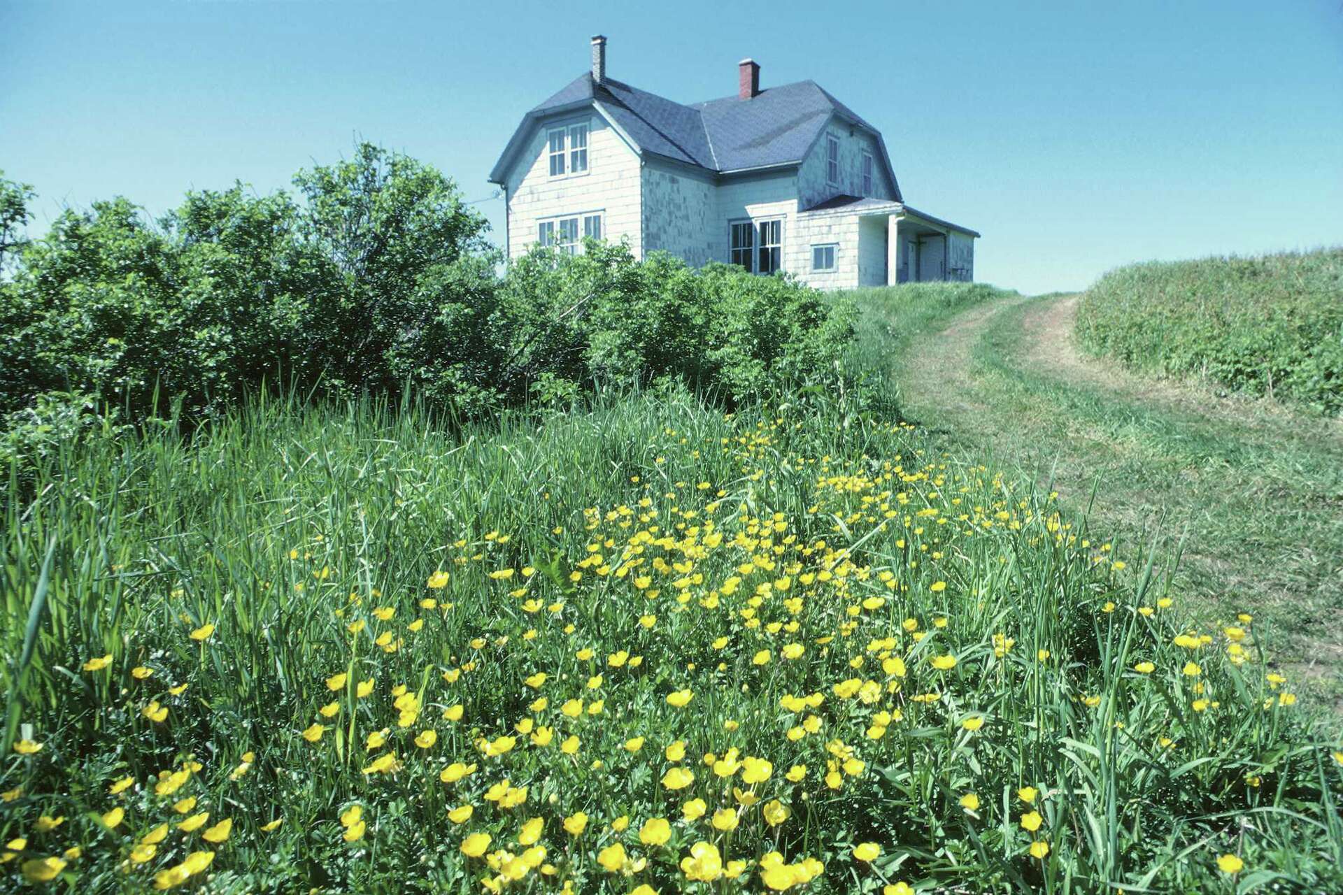 Sidehill Inexpensive Ways to Landscape Hills