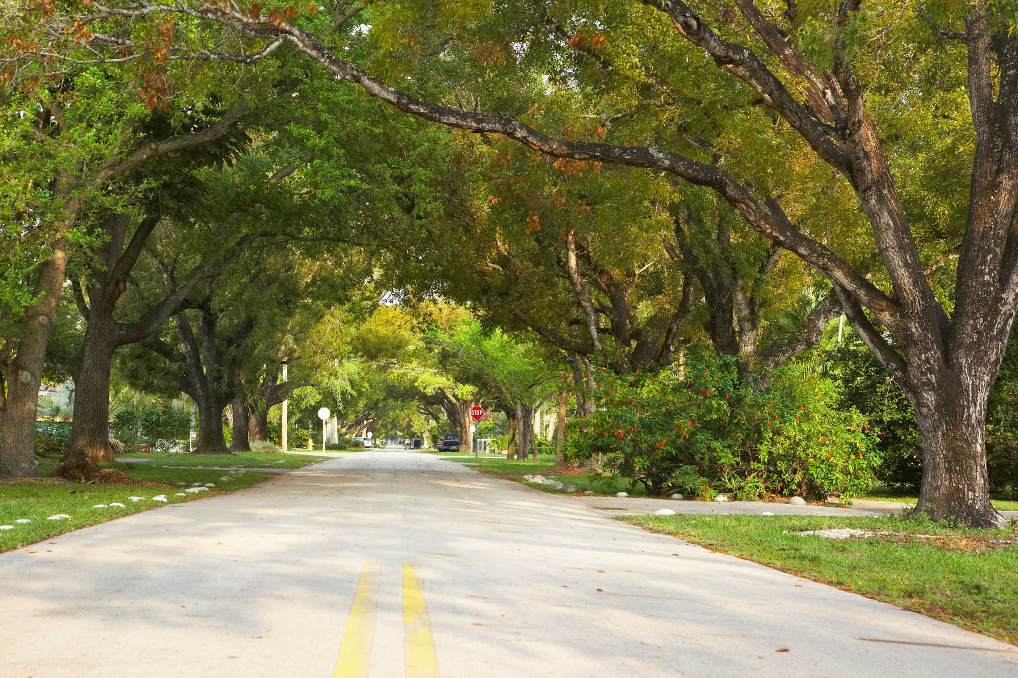 What Is Ingress & Egress in Real Estate?