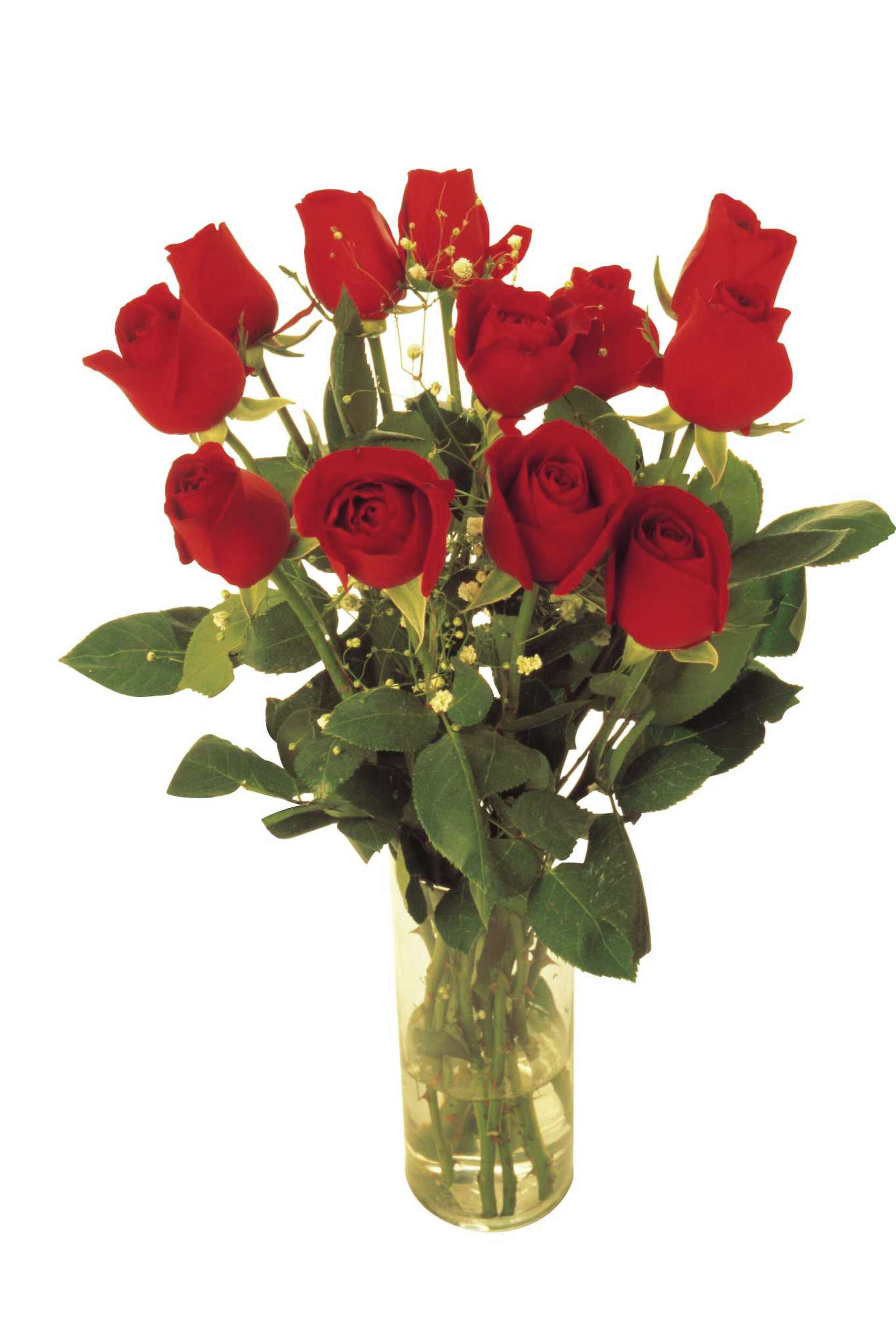 How to Remove Aphids From Cut Roses