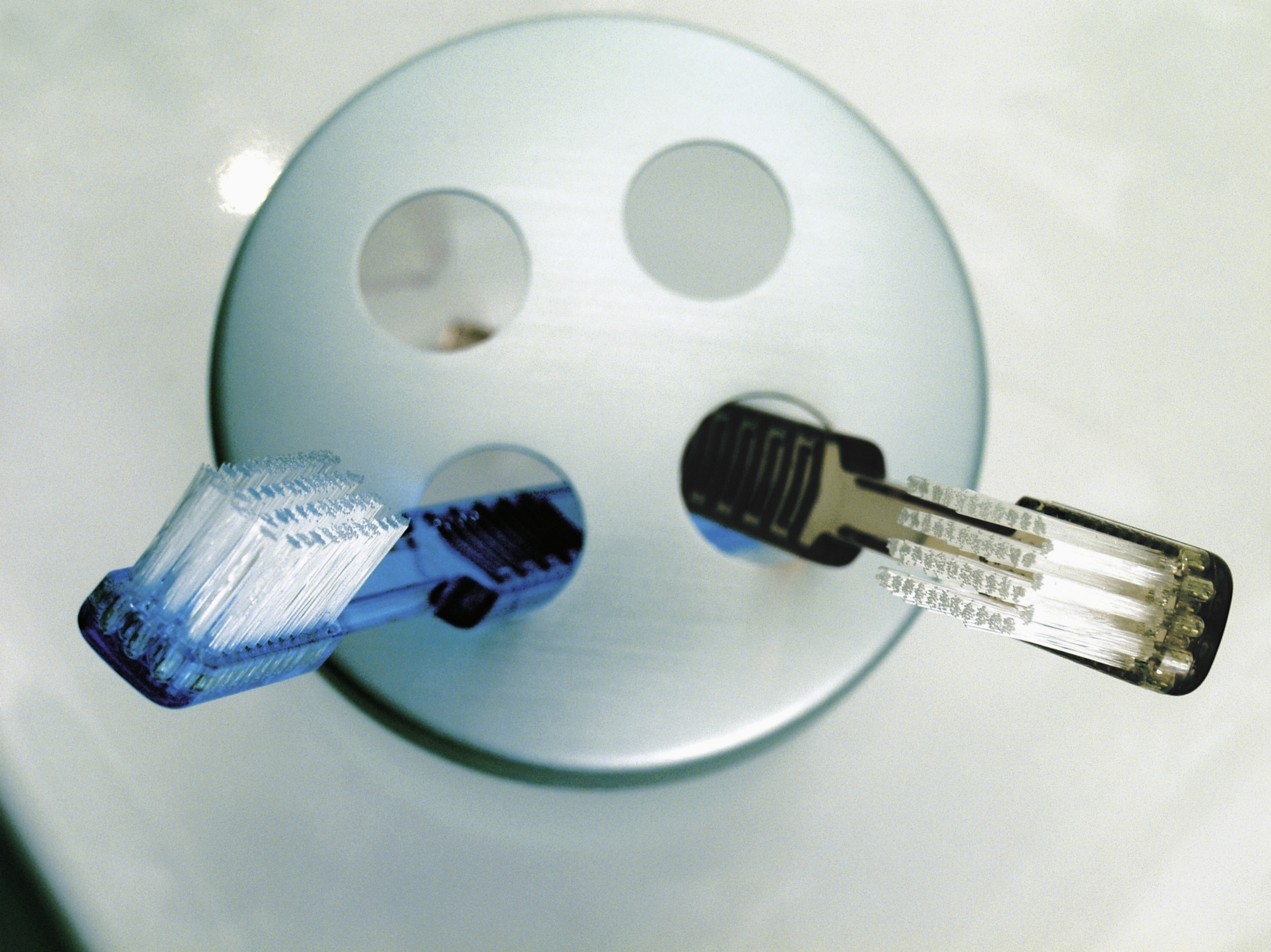 How to Remove Green Scale on Tree Bark