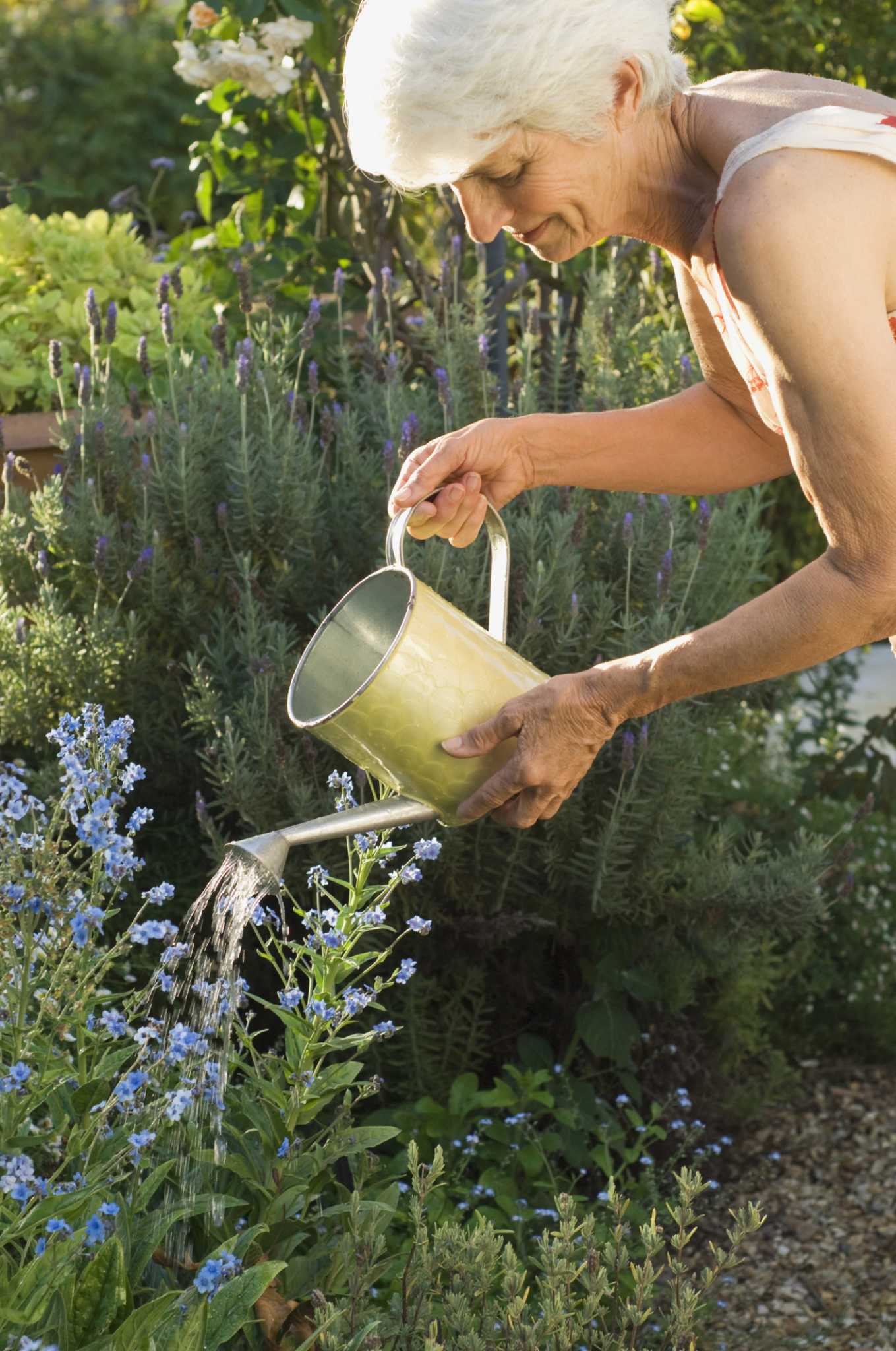 How to Install a Drain Pipe in a Flower Bed