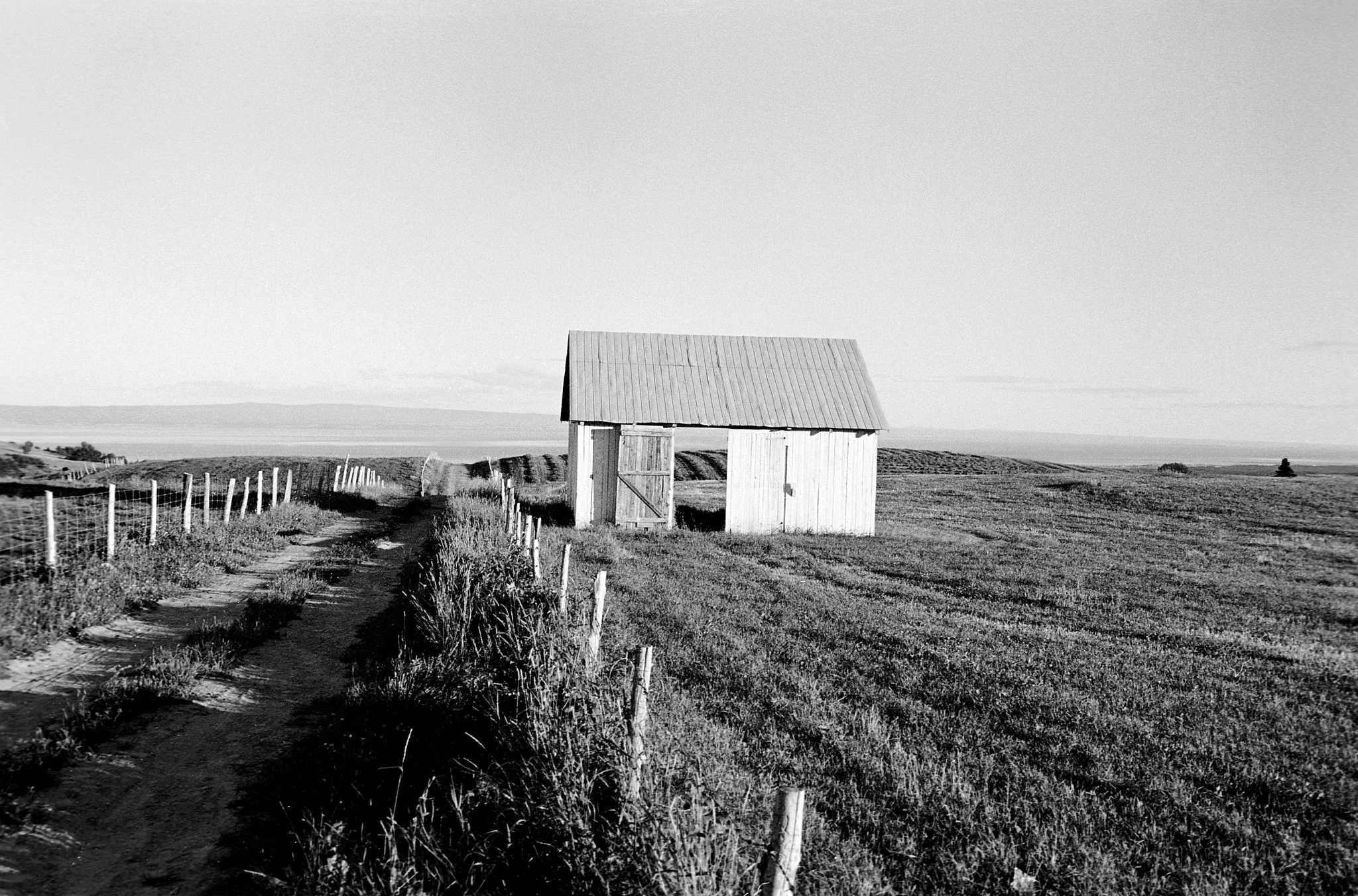 How to Install Foil Bubble Wrap Insulation on a Metal Shed Roof