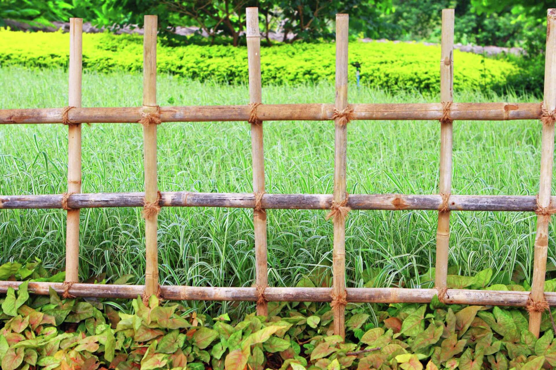 How to Install PVC Pipe on the Top of a Fence to Keep Dogs From Jumping