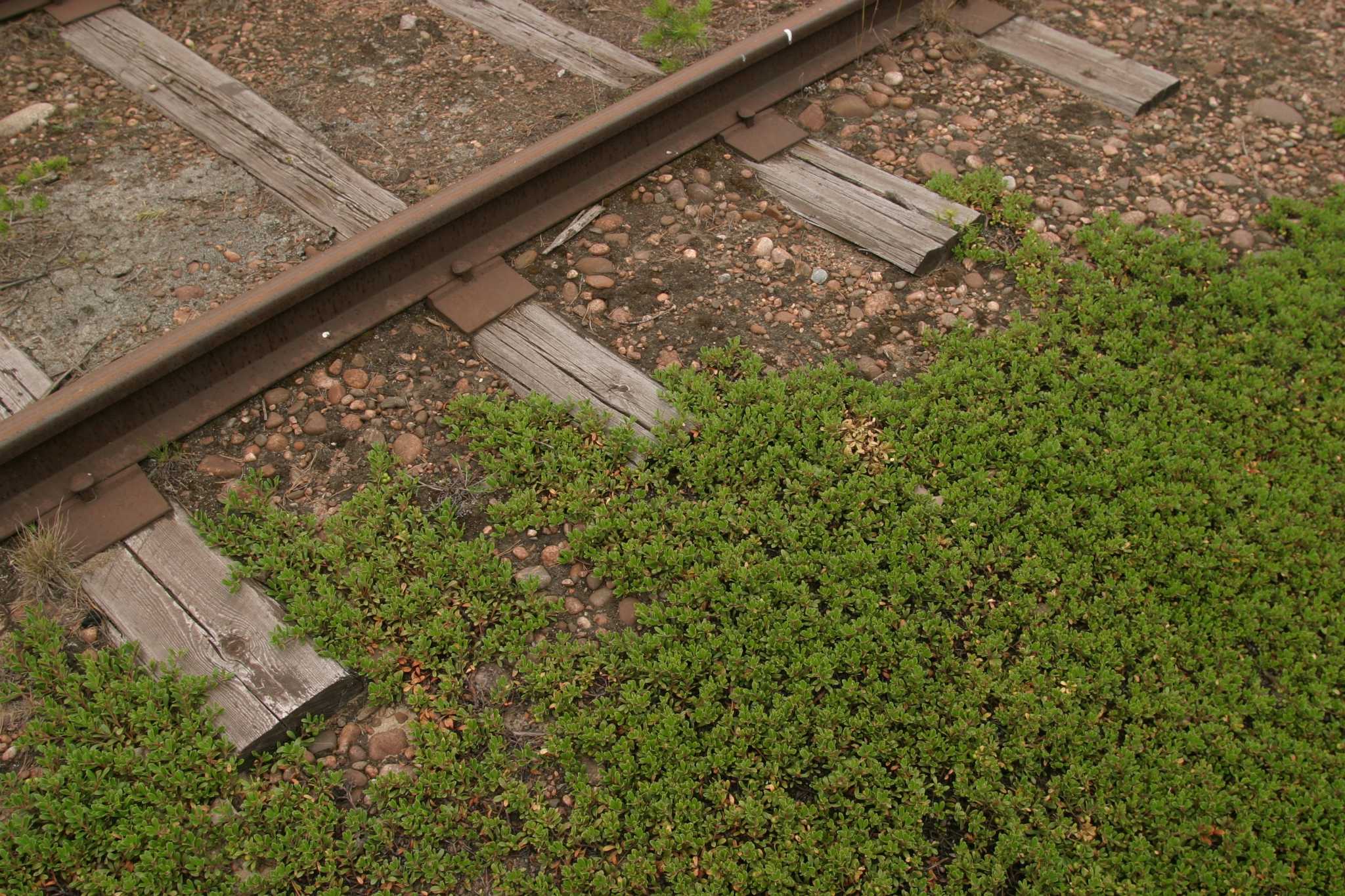 How to Stop Erosion Using Railroad Ties