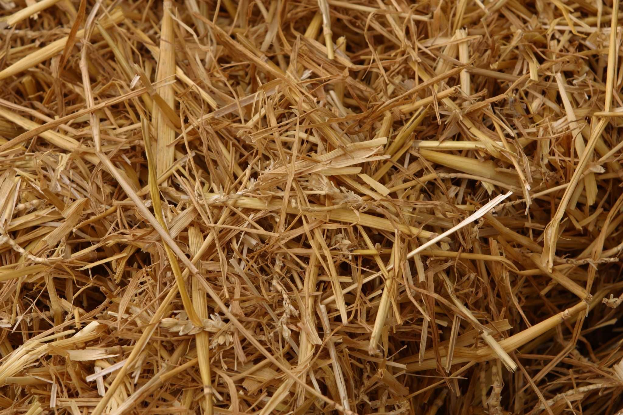 How to Use Hay As Mulch