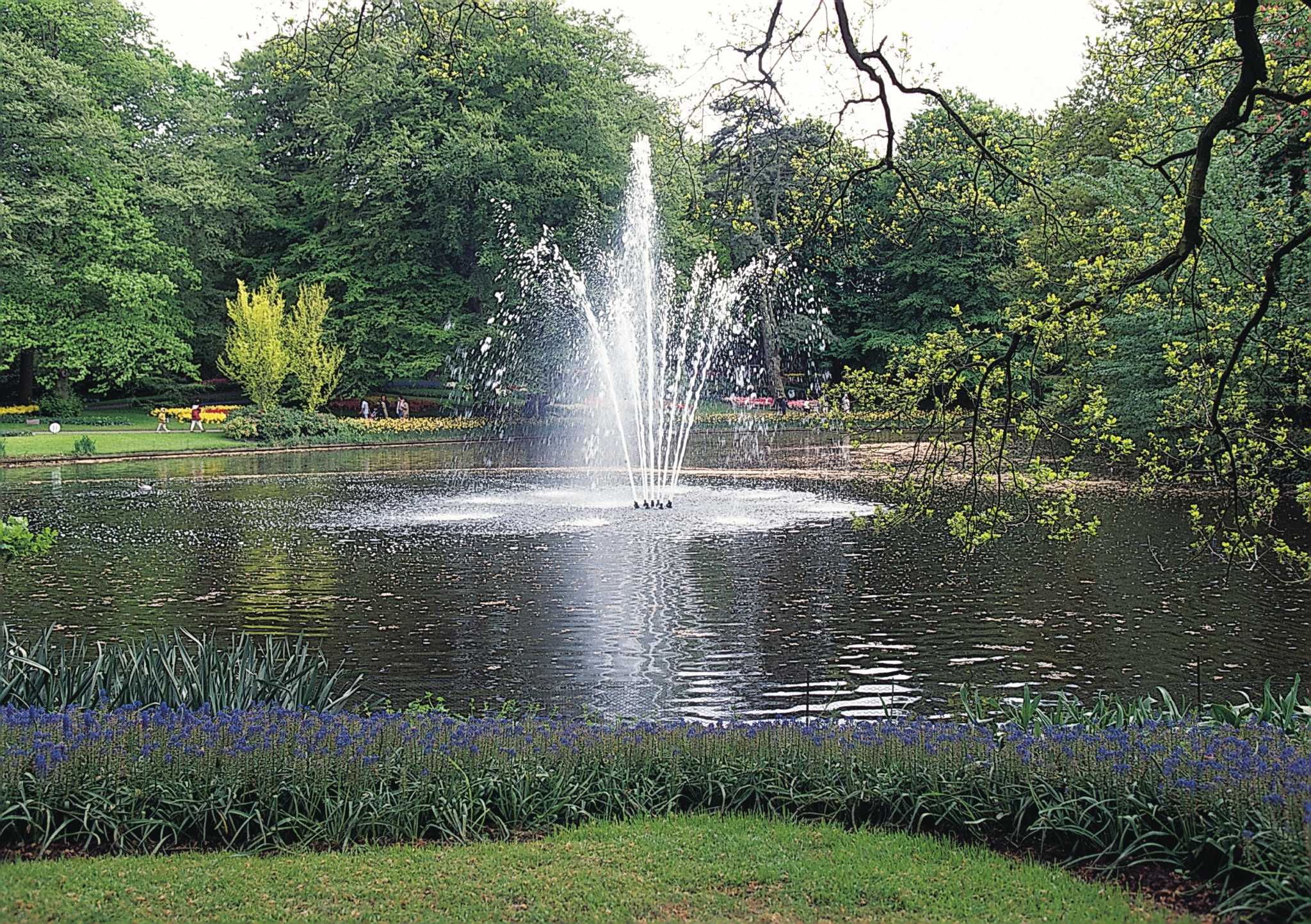 Types of Fountains for Ponds