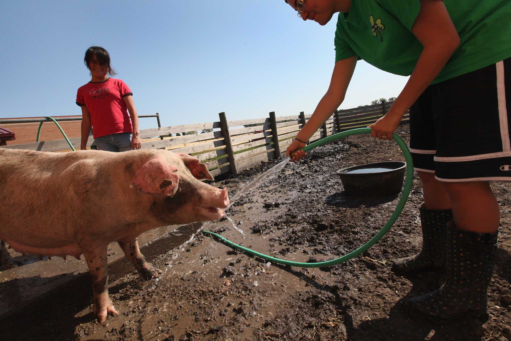 How to Repair a Pinhole in a Garden Hose