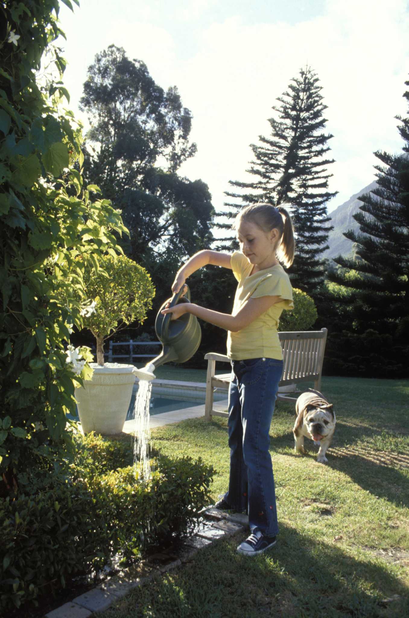 How to Repel Dogs From Landscaping