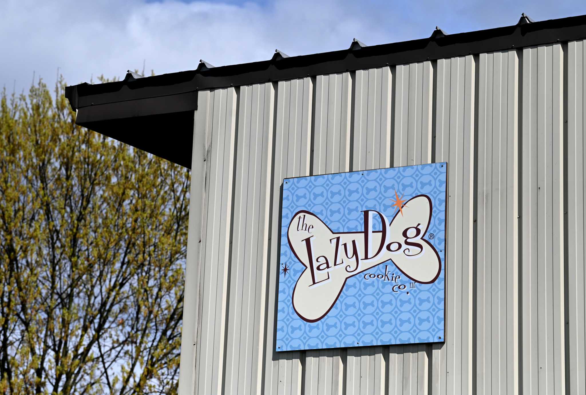 Lazy Dog Cookies thriving in Saratoga Springs