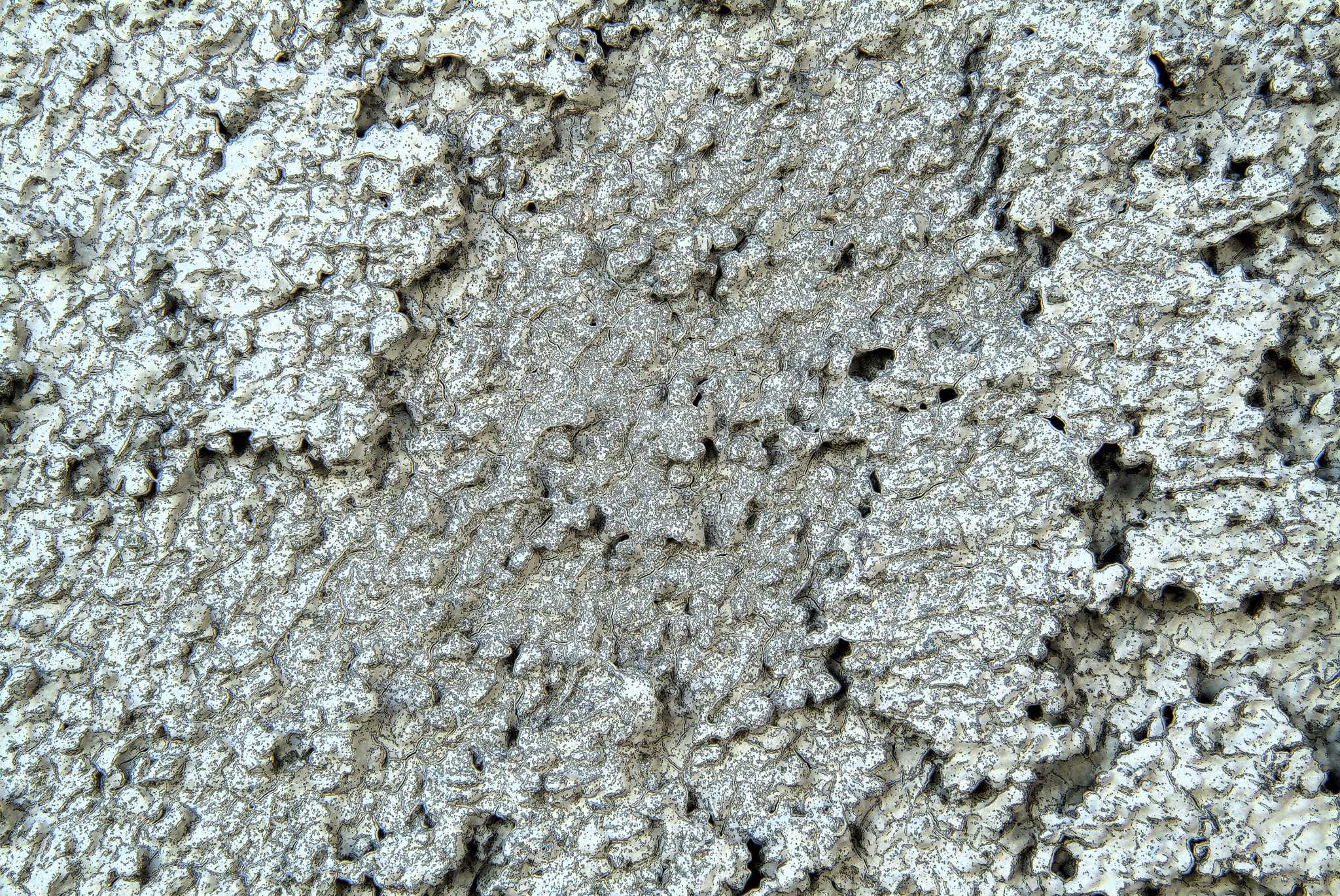 How to Keep Mold and Mildew Off Windows and MiniBlinds