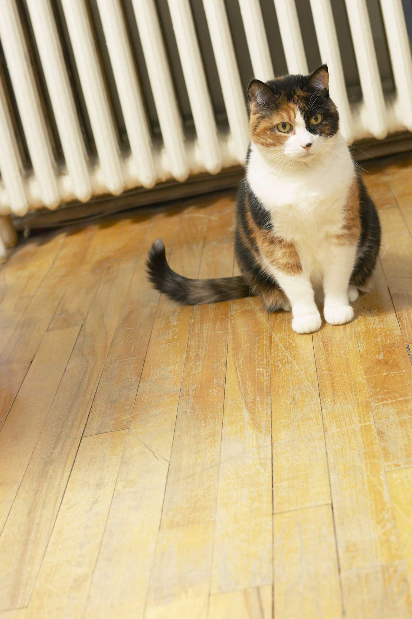 Replacing Central Air Thermostat