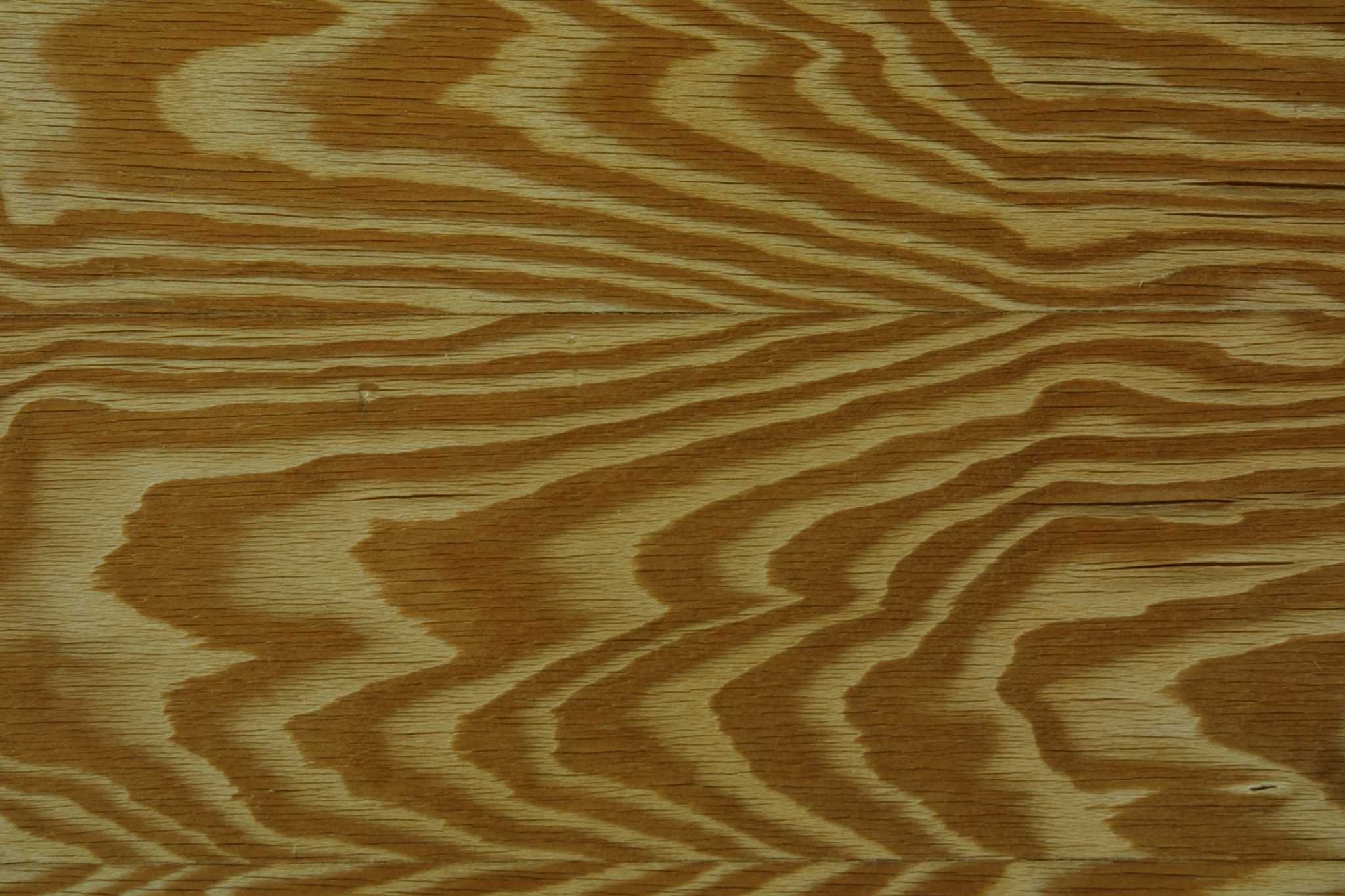 How to Replace a Piece of DryRotted Floor