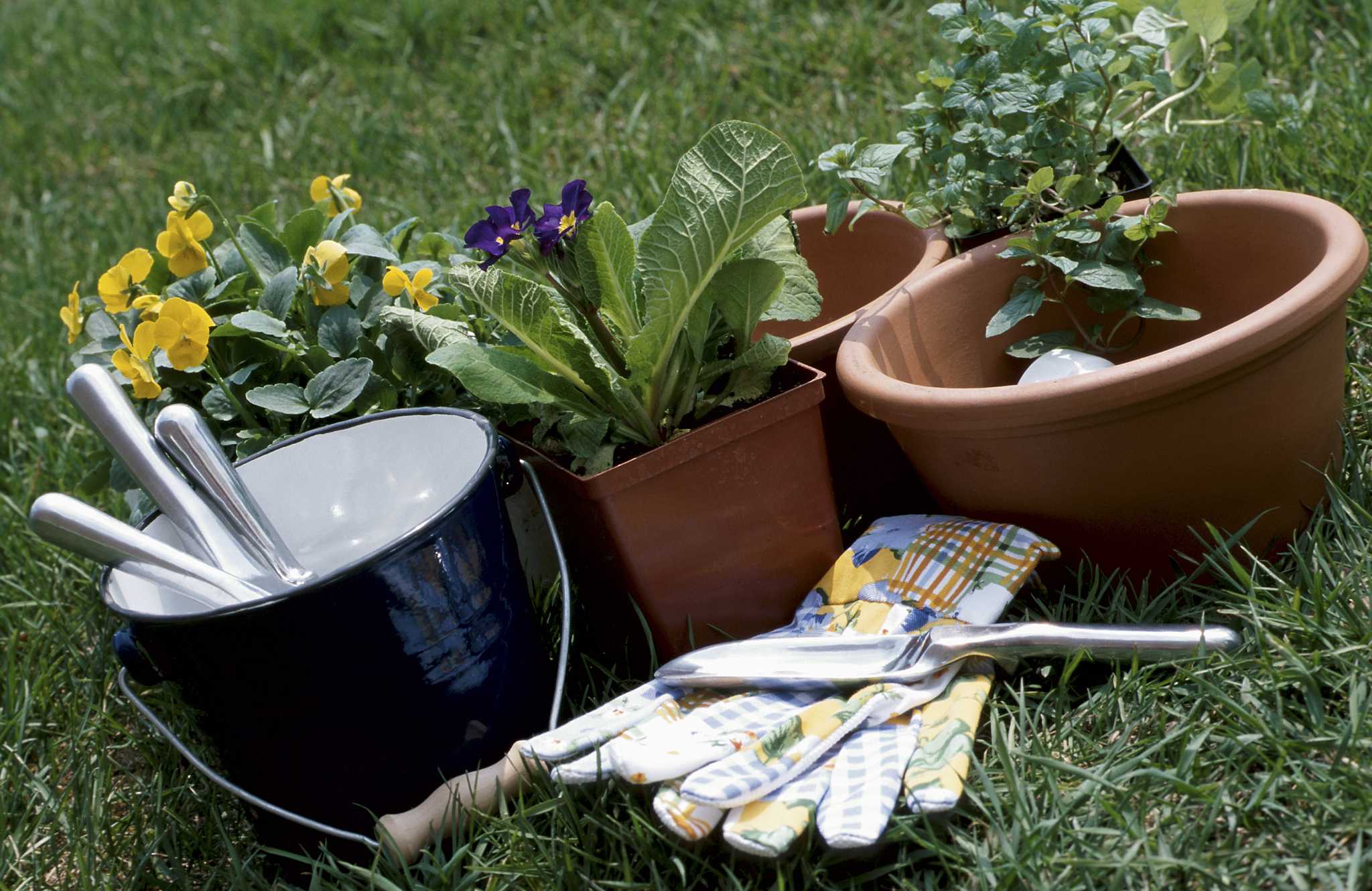 landscaping-ideas-for-rental-houses