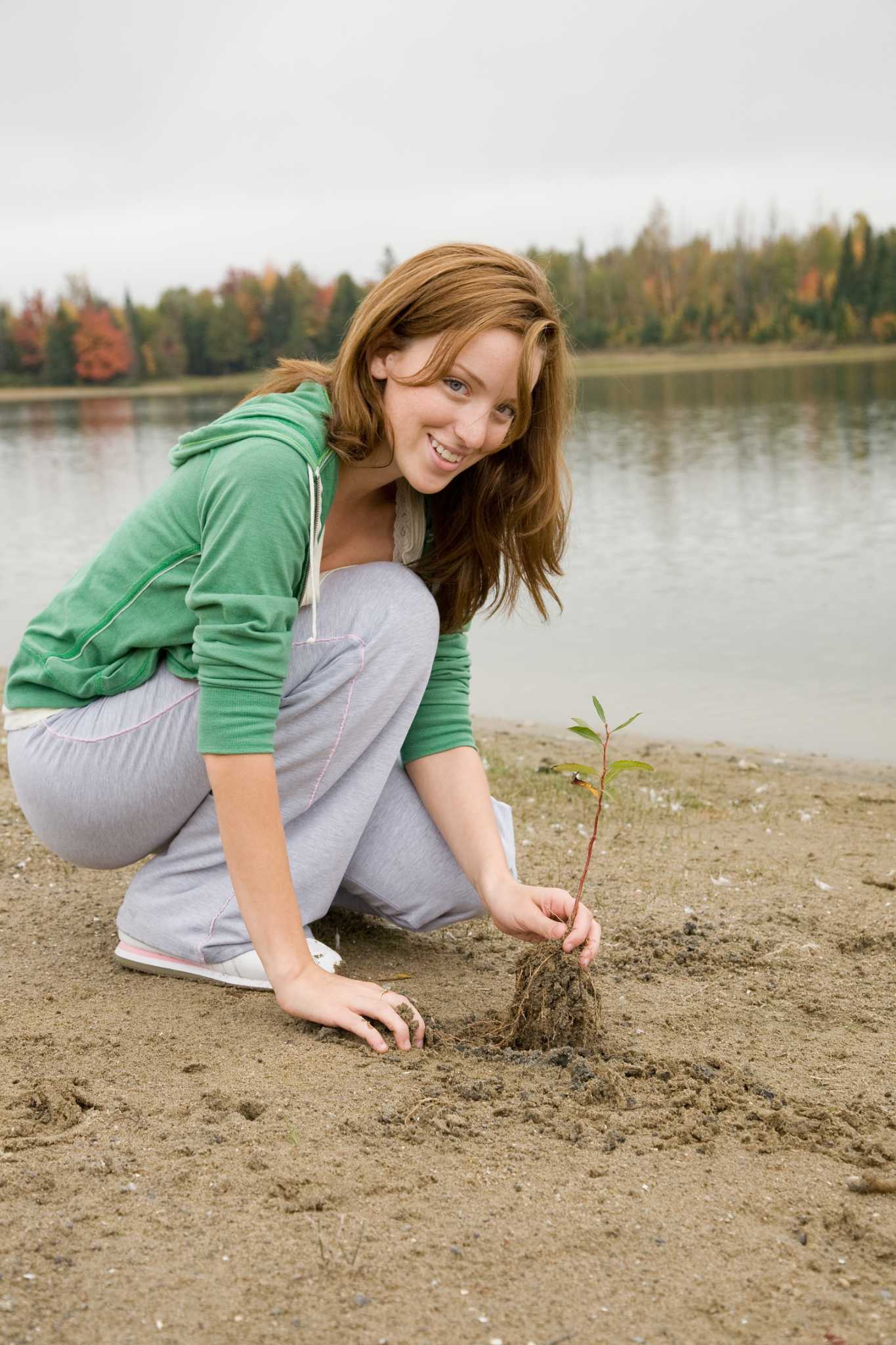 How to Kill Dollar Weed
