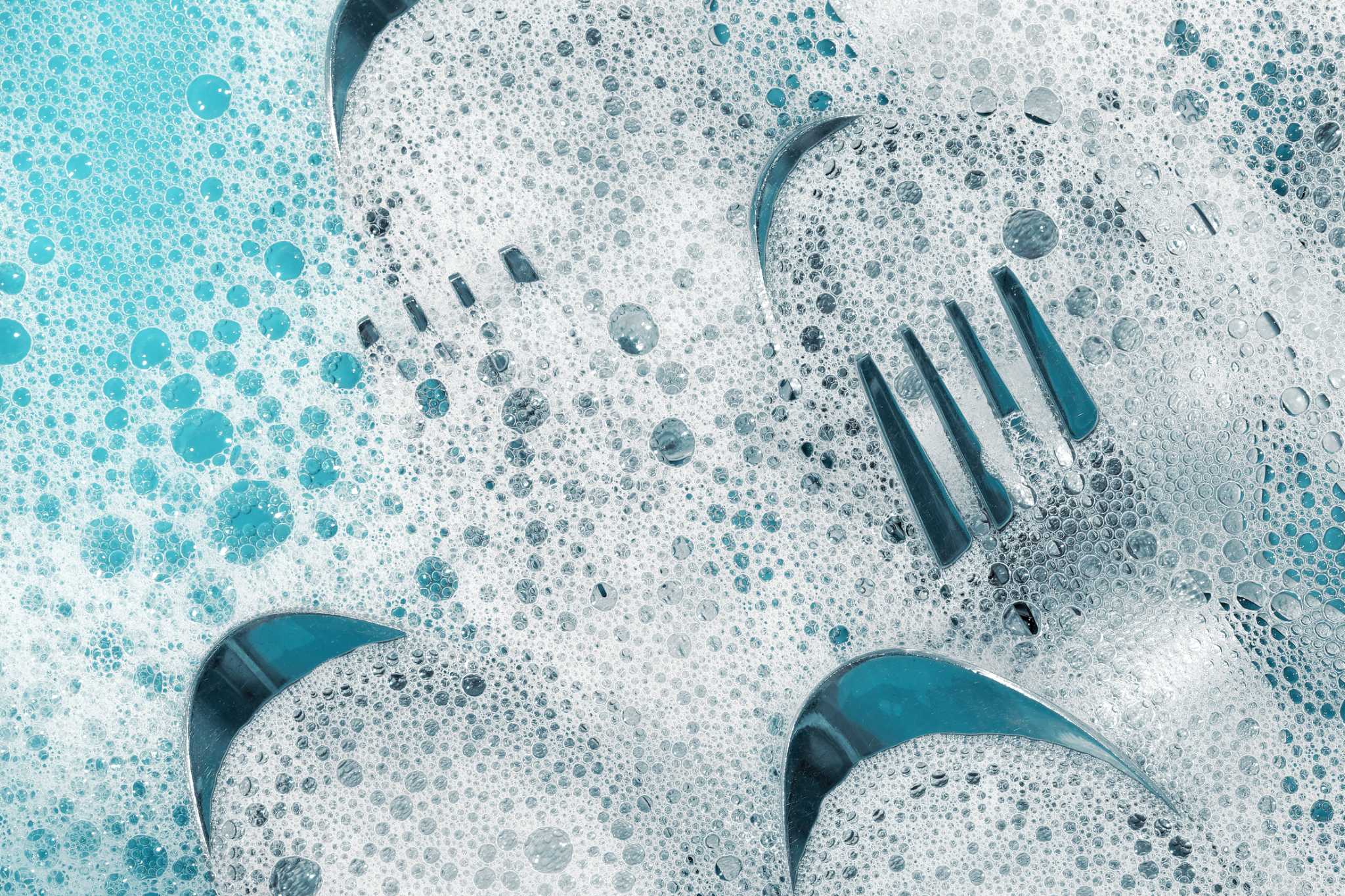 How to Kill Fungus Gnats in Houseplants with Dish Soap