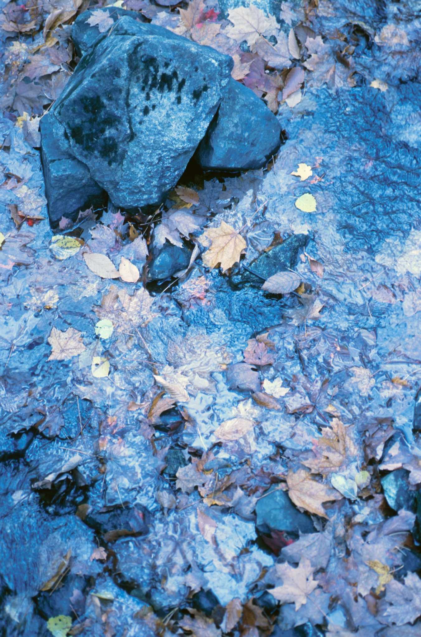 How to Kill Moss on Granite