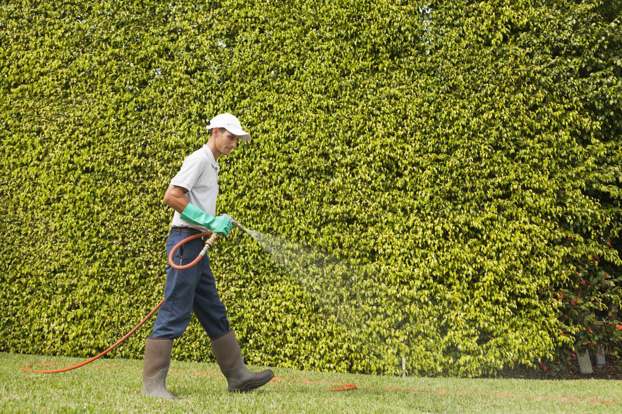 How to Kill Ornamental Grass