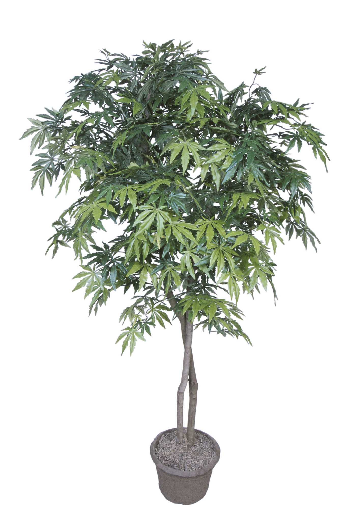 How to Put an Artificial Tree in an Urn