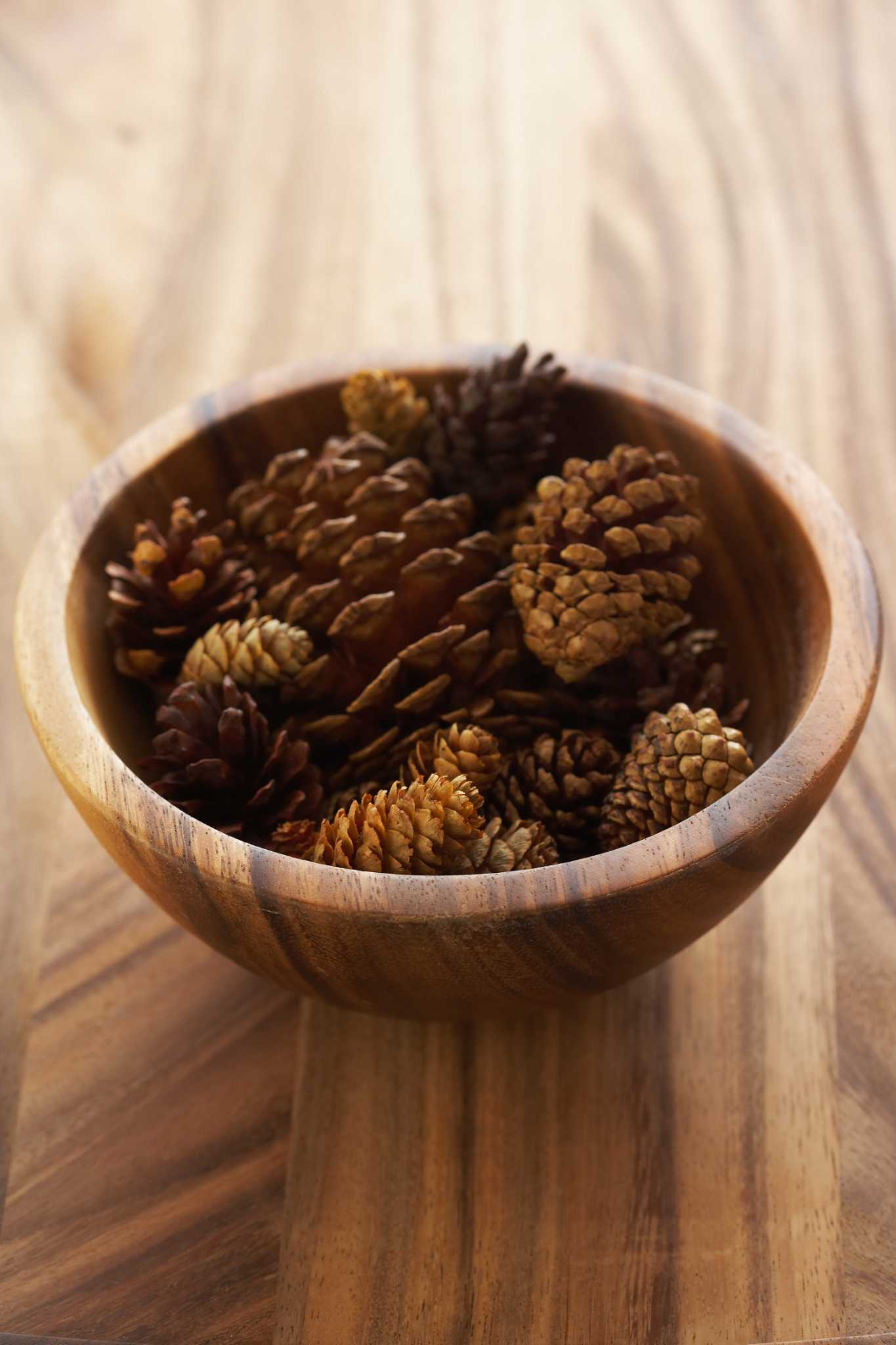 How to Restore Old Dry Wood Bowls