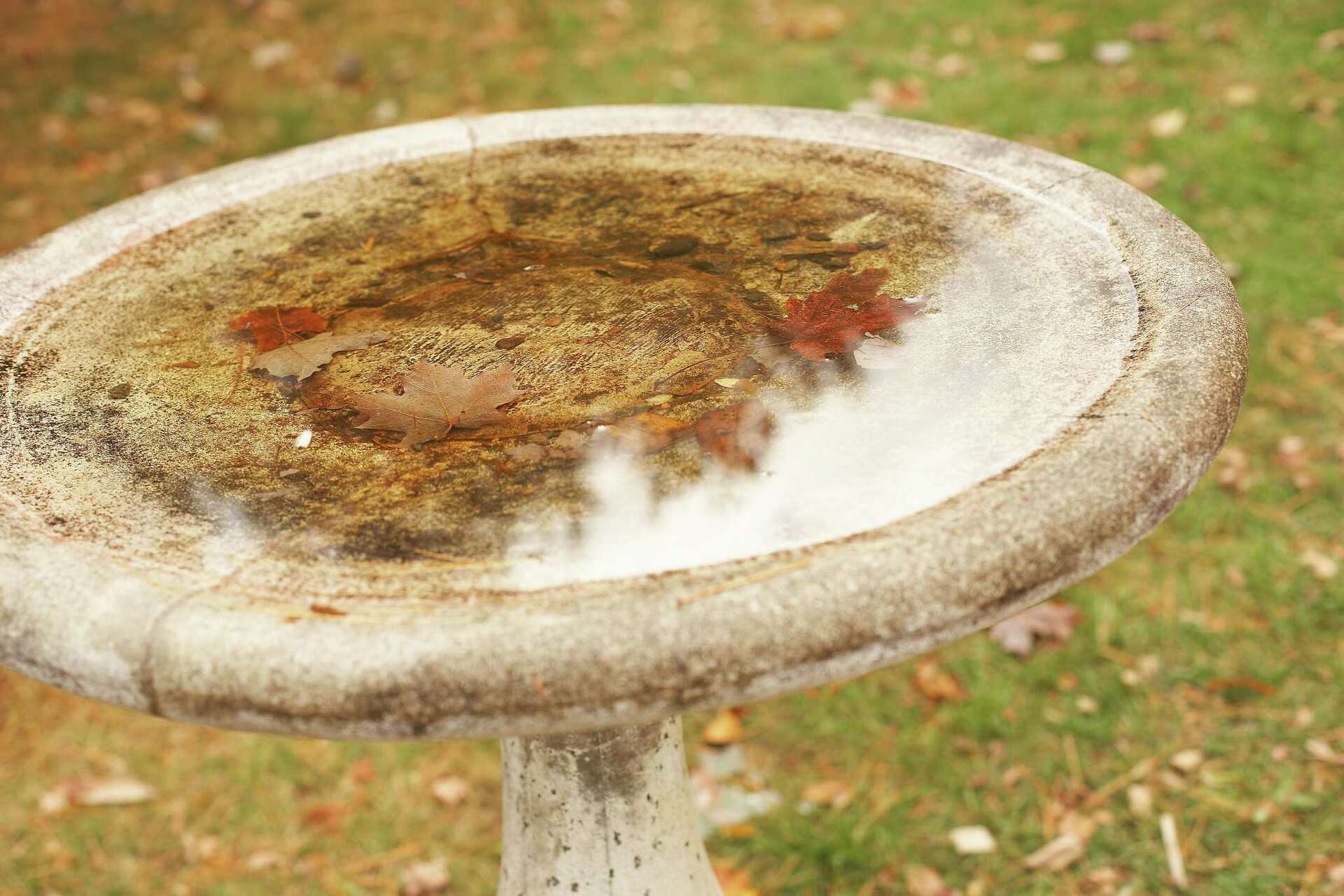 How to Resurface a Cement Bird Bath