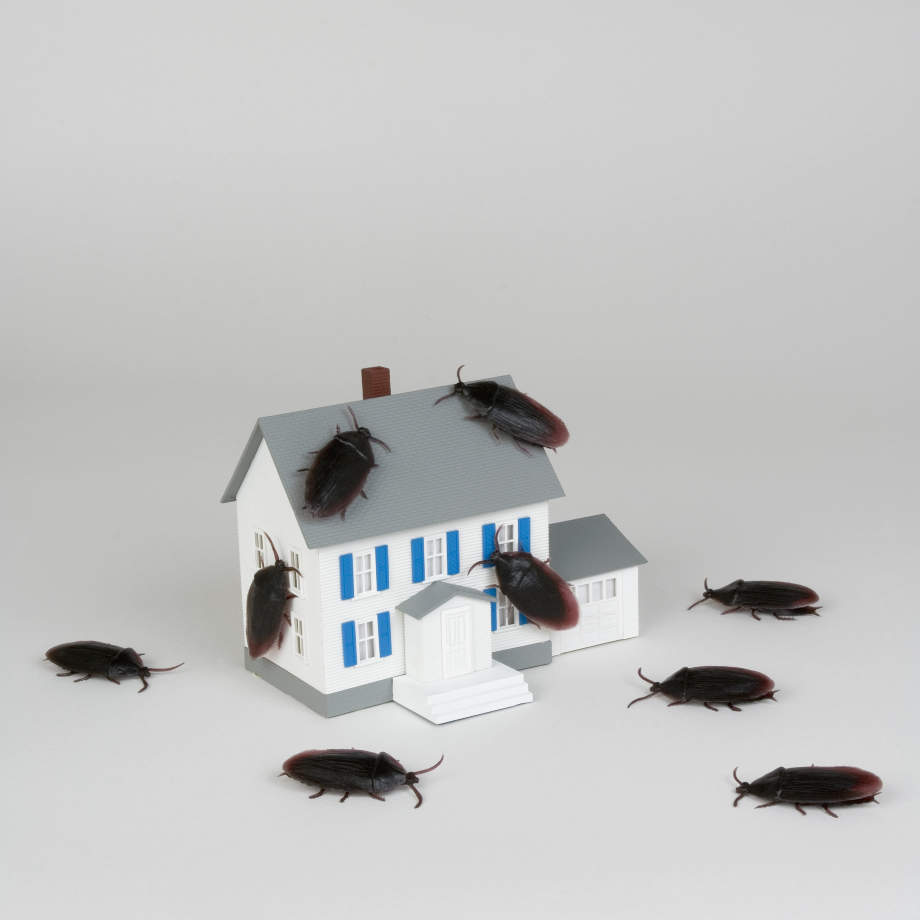 Do Landlords Have to Pay for Exterminators?