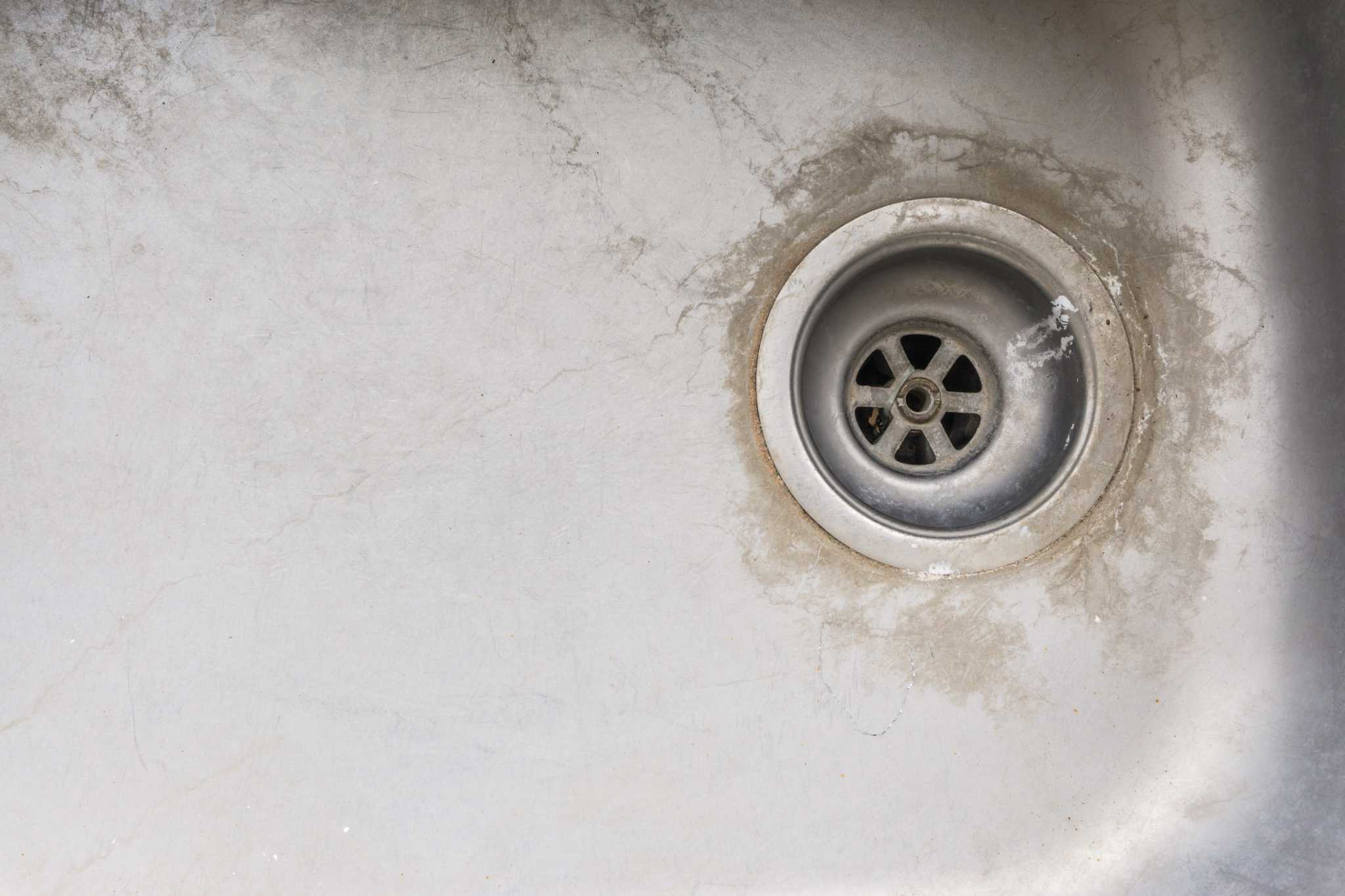 How to Remove Black Mold in Sink Drains Effectively