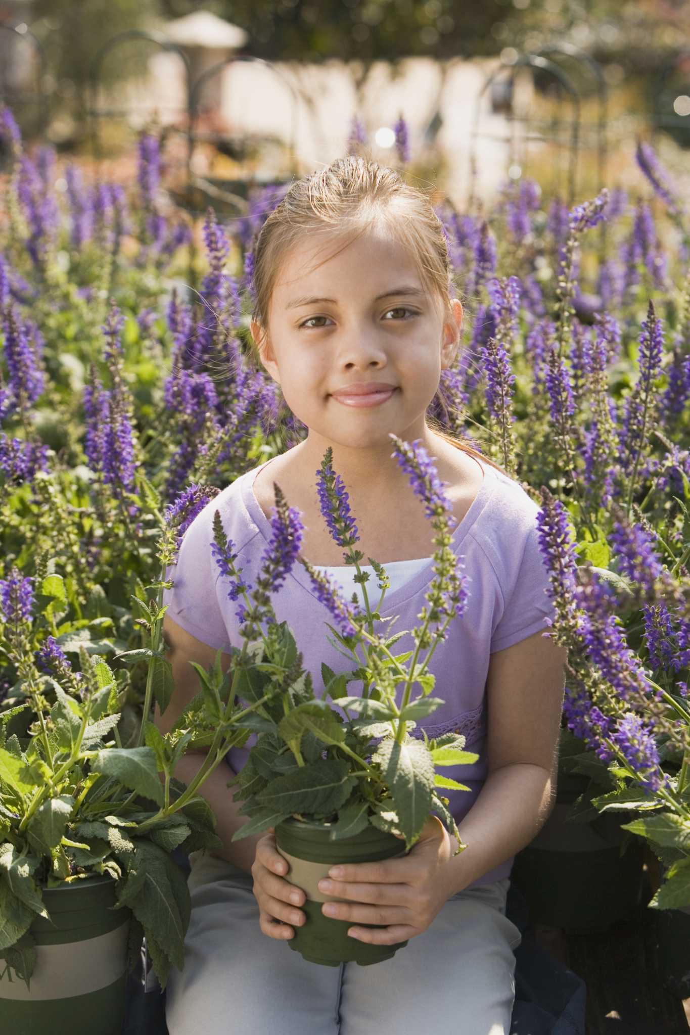 How to Grow Food Grade Lavender